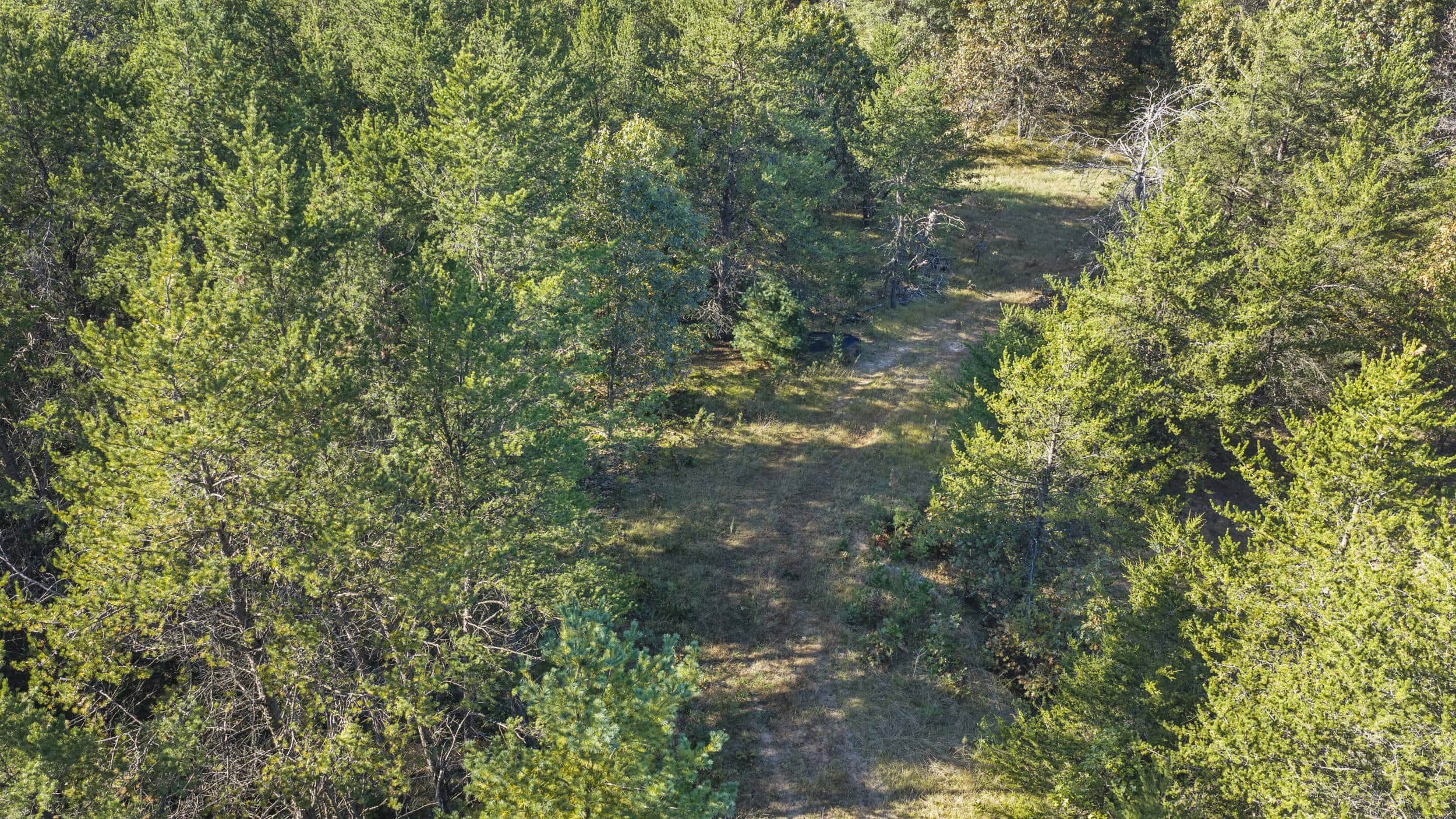 Buildable Hunting and Rec Property in Marquette County WI