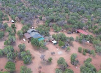 Cabin on 40 Acres for sale in Glade Park, CO