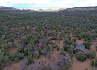 Cabin on 40 Acres for sale in Glade Park, CO