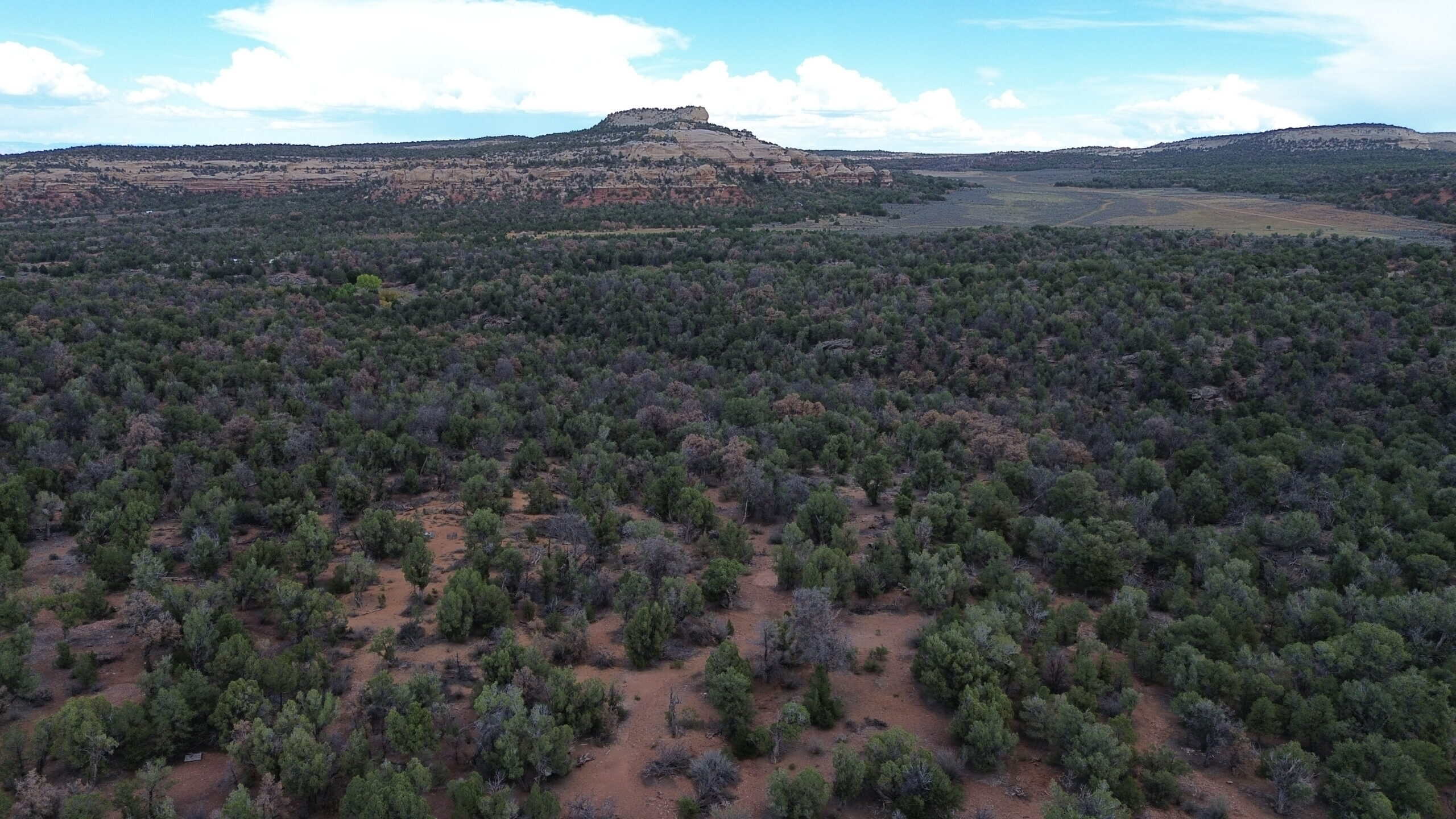 Cabin on 40 Acres for sale in Glade Park, CO