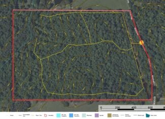East Texas Recreational Land for Sale Gilmer TX Upshur County | Hunt & Timber