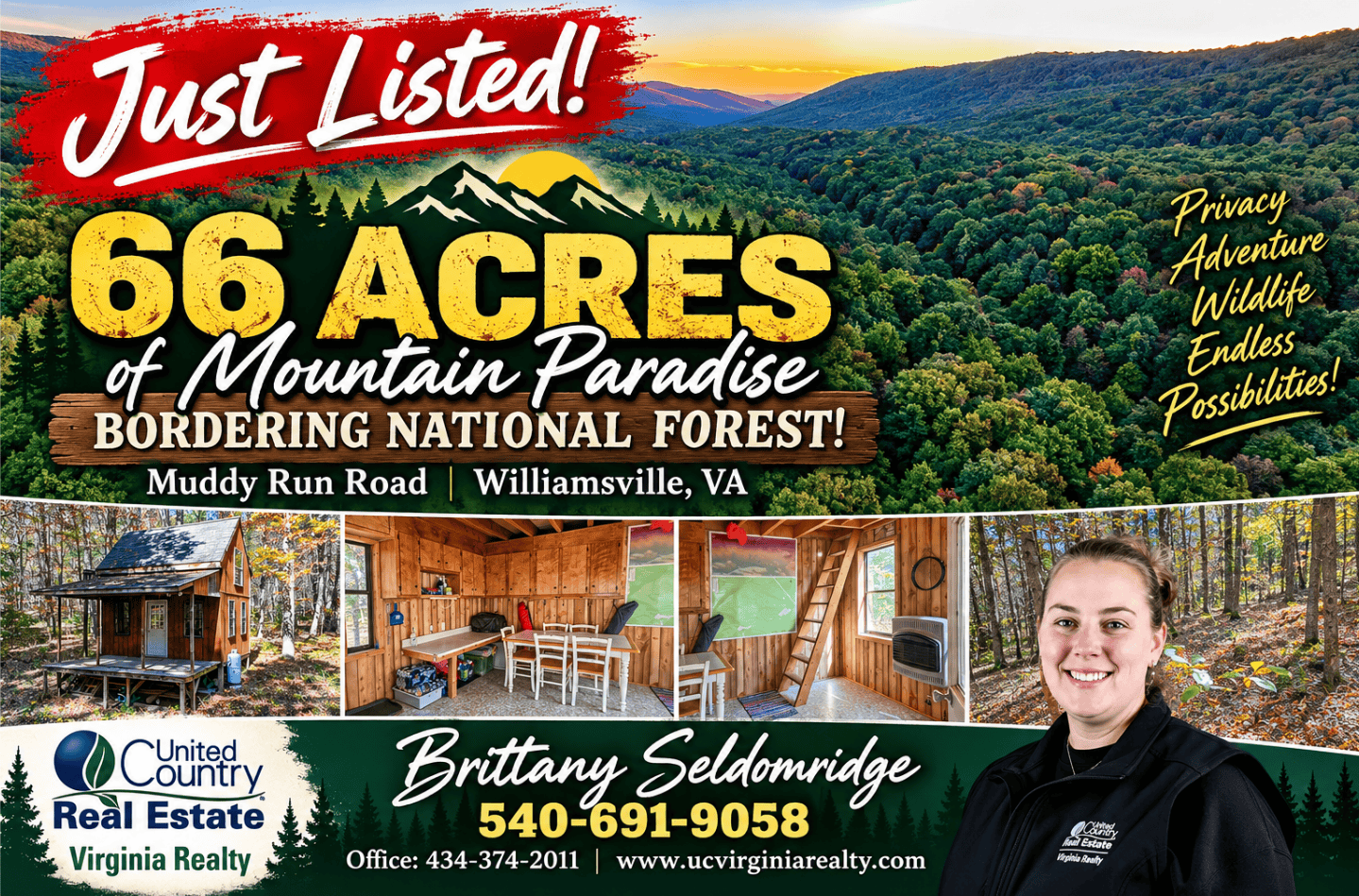 66 Acres of Mountain Paradise Bordering National Forest!
