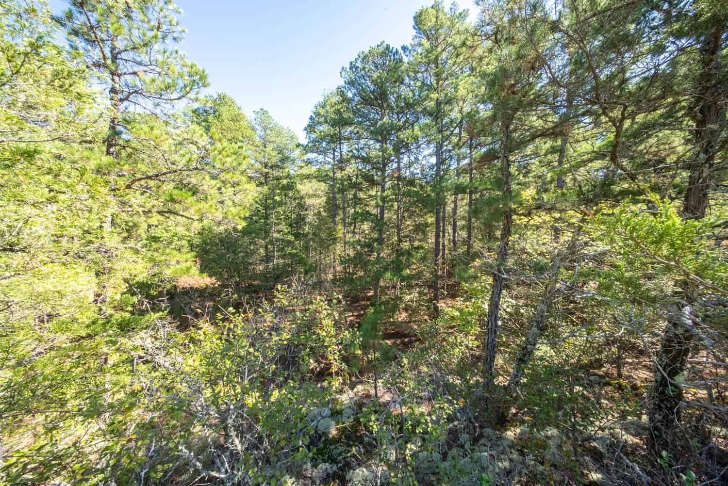 Private Hunting Retreat with Cabin on 39 Acres | Calico Rock, Arkansas