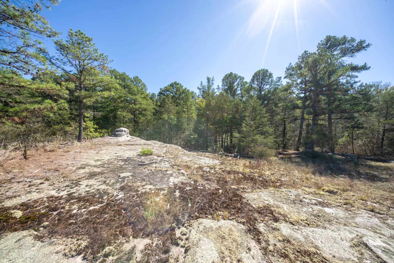 Private Hunting Retreat with Cabin on 39 Acres | Calico Rock, Arkansas