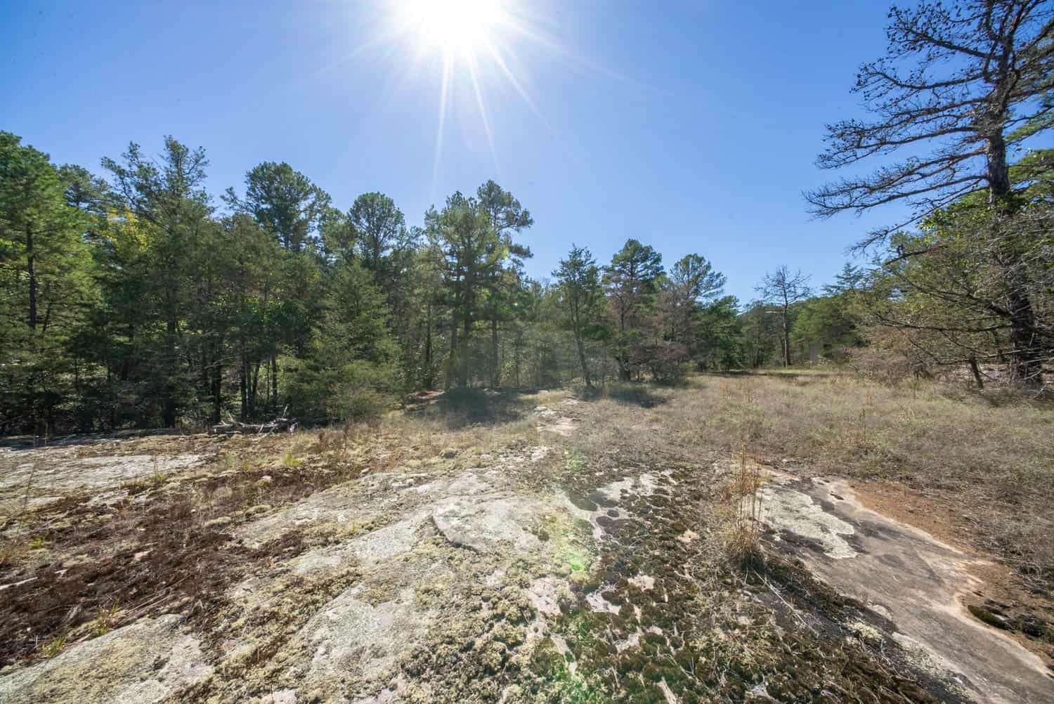 Private Hunting Retreat with Cabin on 39 Acres | Calico Rock, Arkansas