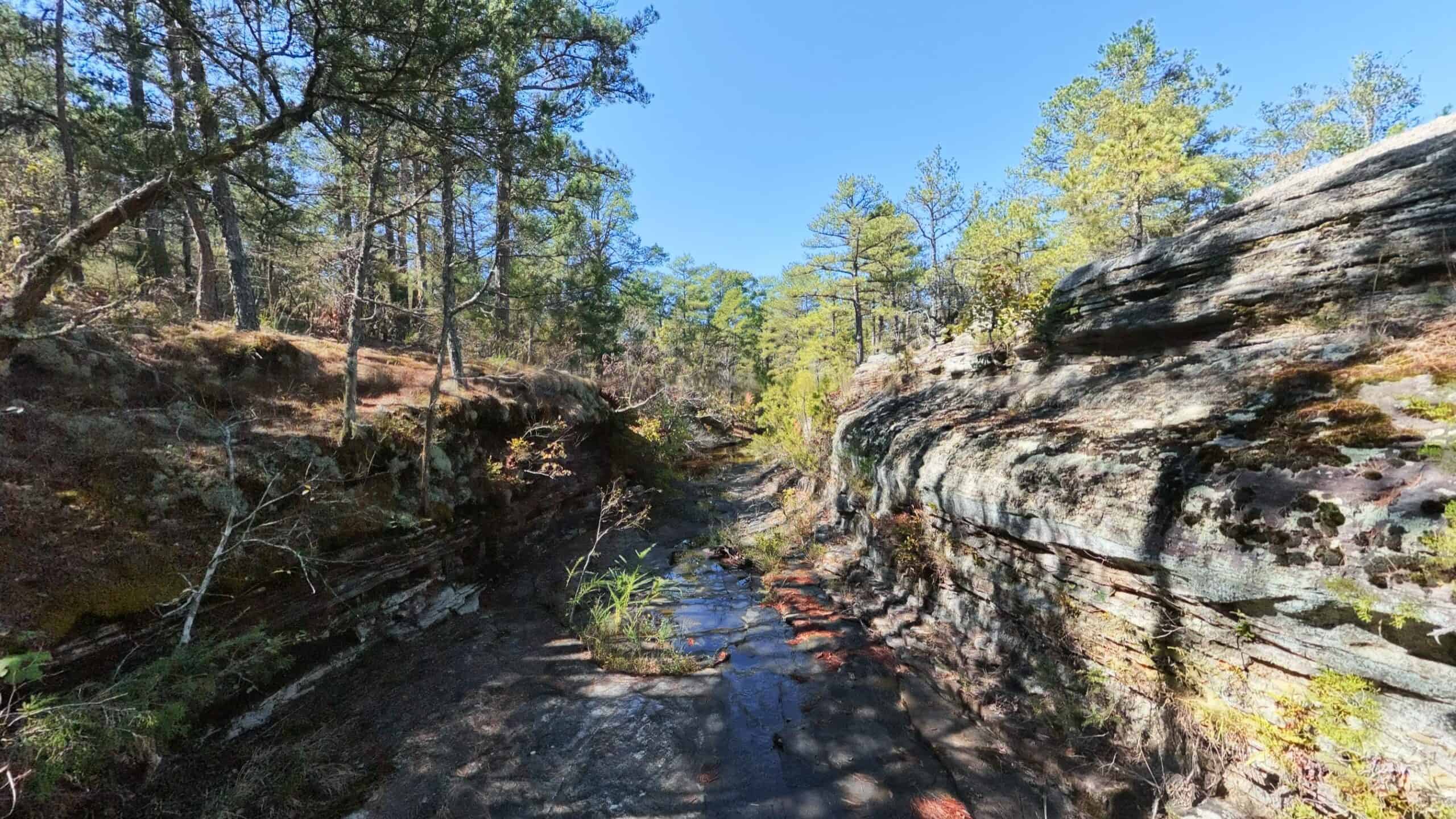 Private Hunting Retreat with Cabin on 39 Acres | Calico Rock, Arkansas
