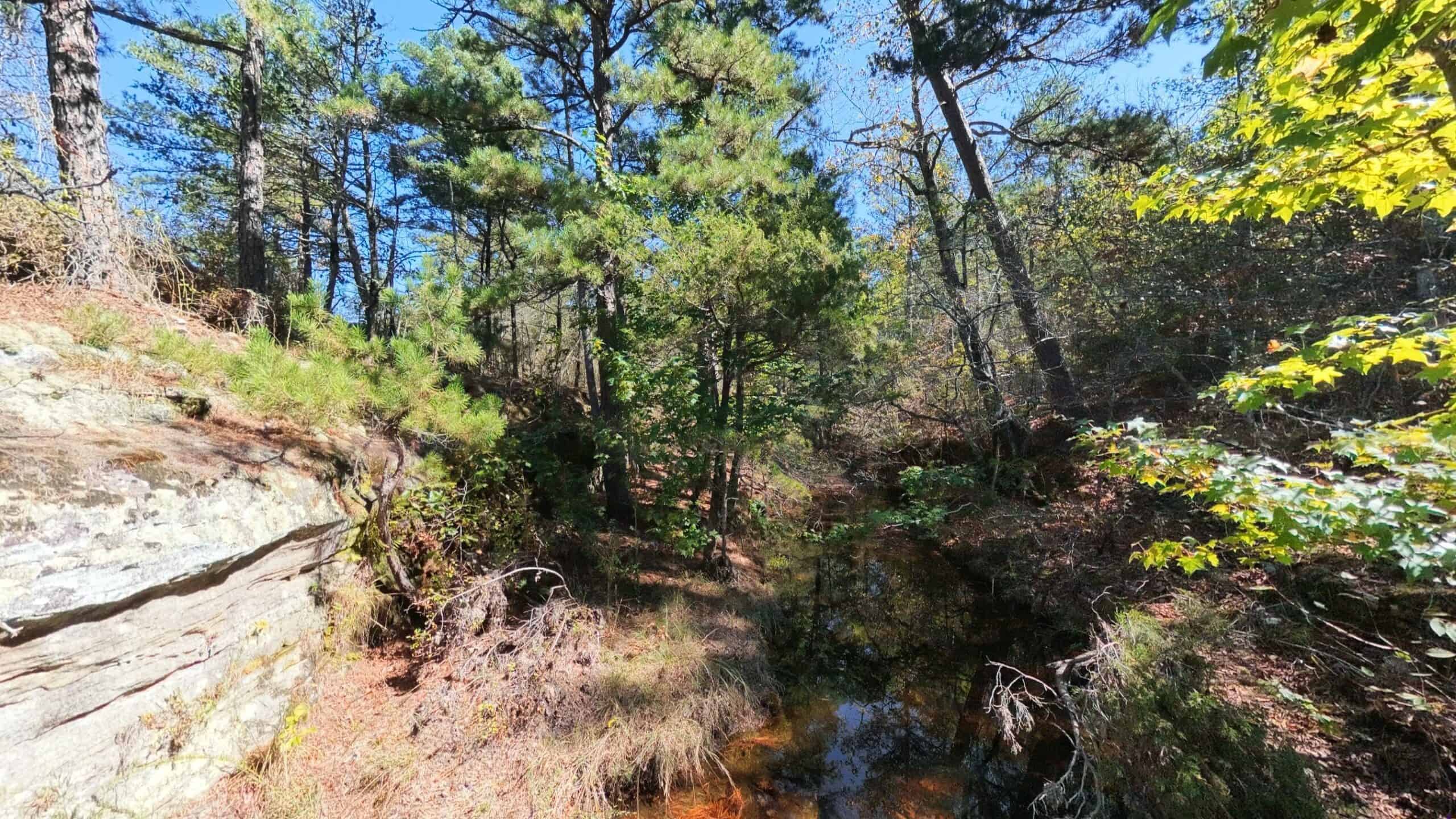 Private Hunting Retreat with Cabin on 39 Acres | Calico Rock, Arkansas