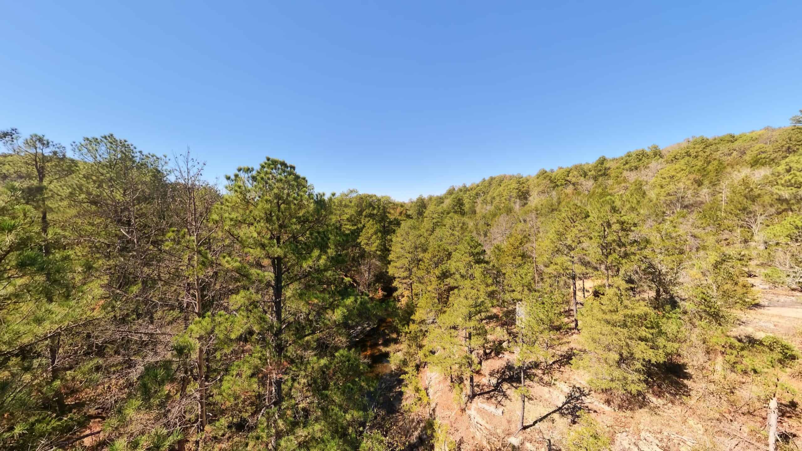 Private Hunting Retreat with Cabin on 39 Acres | Calico Rock, Arkansas