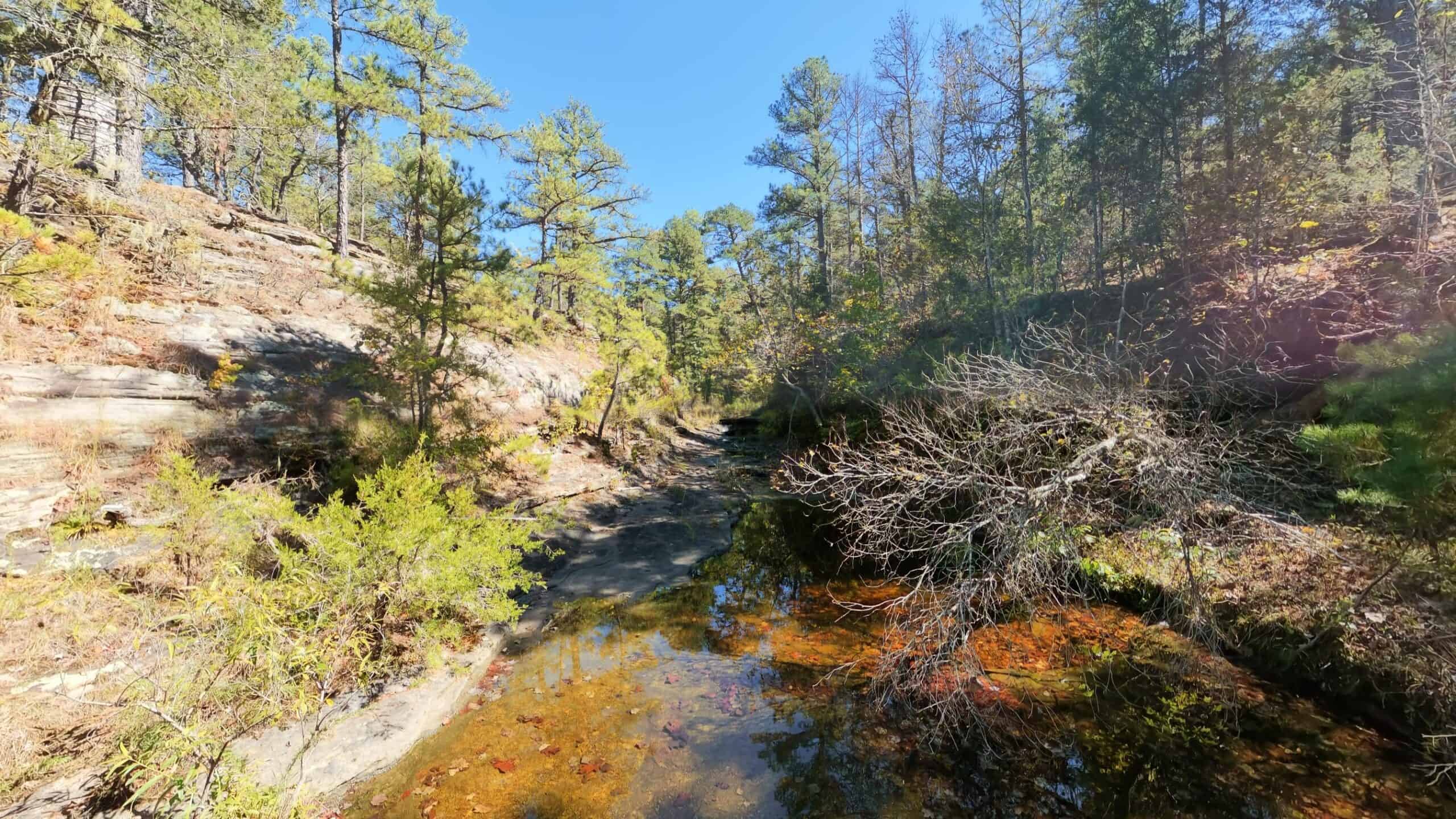Private Hunting Retreat with Cabin on 39 Acres | Calico Rock, Arkansas