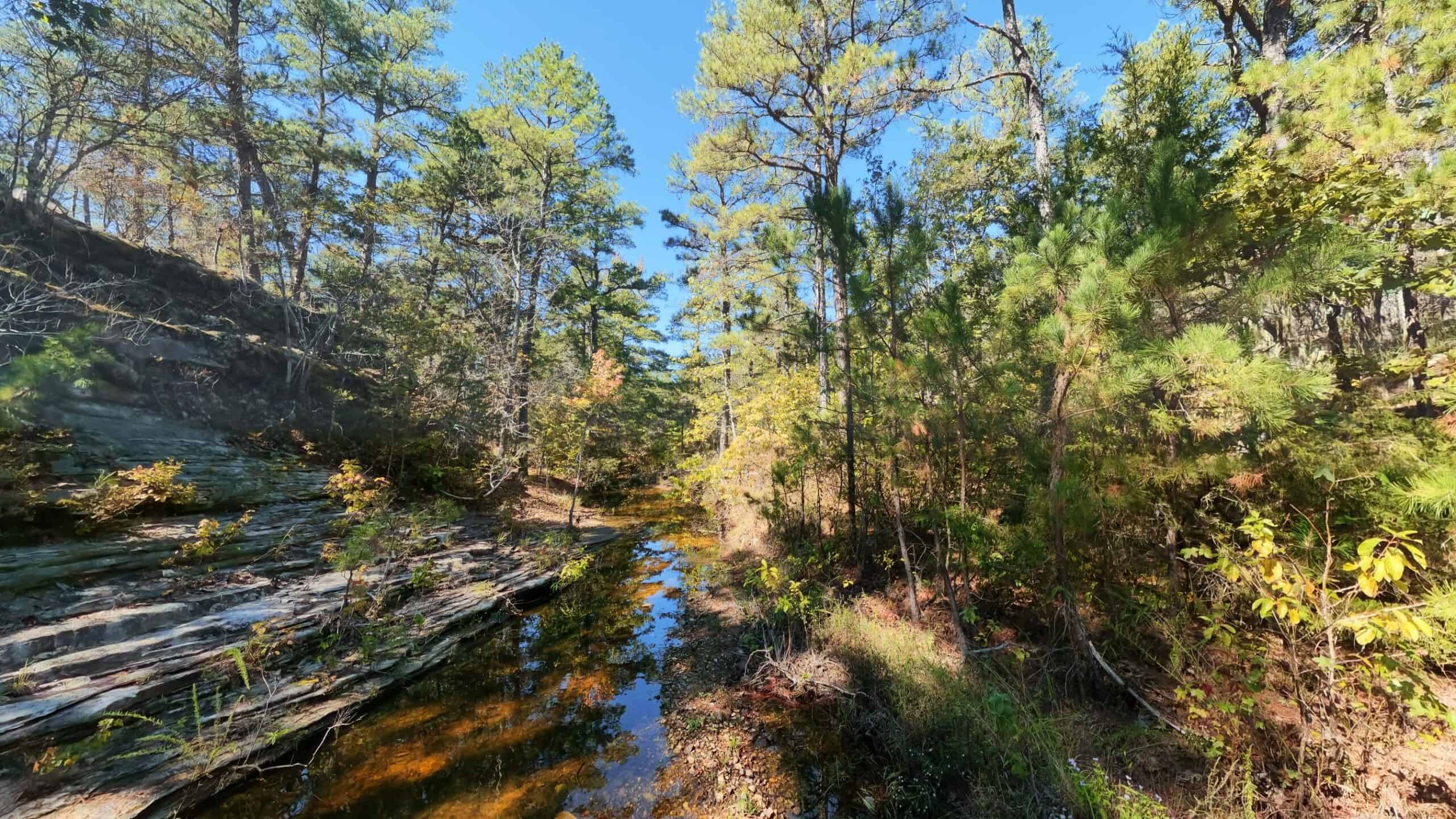 Private Hunting Retreat with Cabin on 39 Acres | Calico Rock, Arkansas
