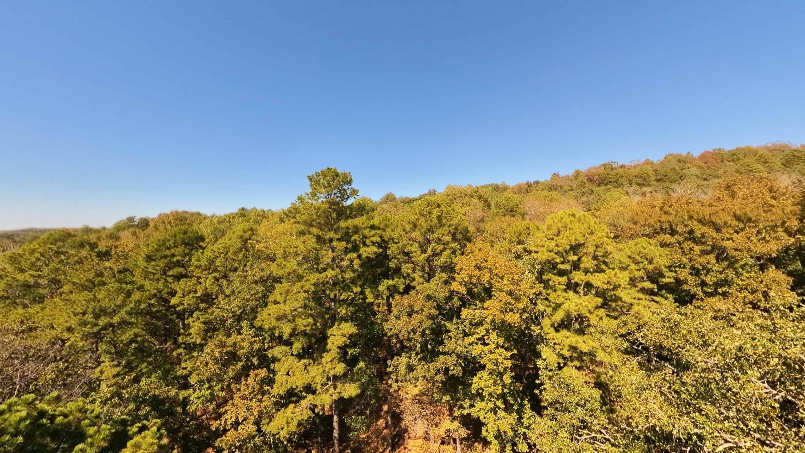 Private Hunting Retreat with Cabin on 39 Acres | Calico Rock, Arkansas