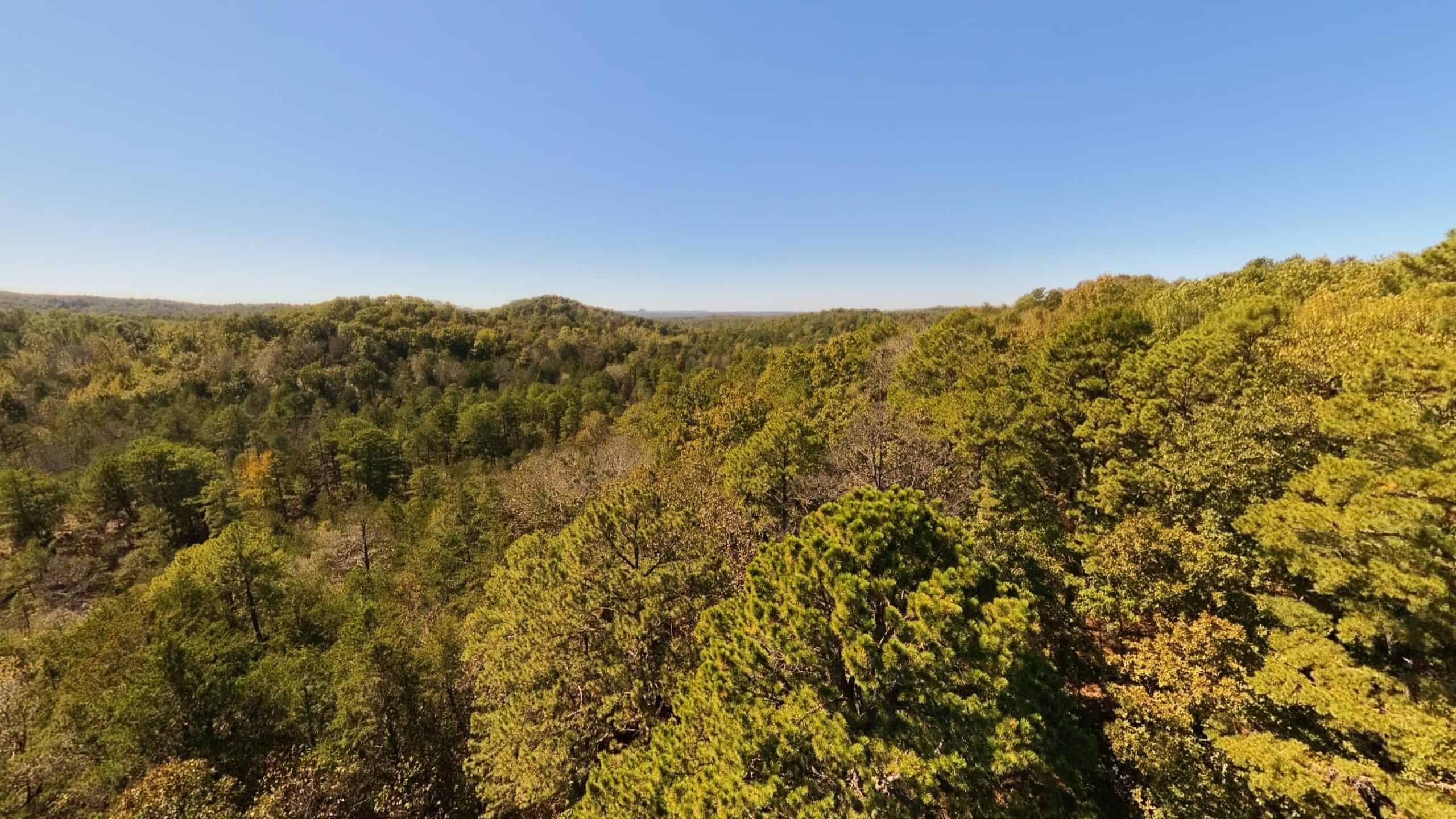 Private Hunting Retreat with Cabin on 39 Acres | Calico Rock, Arkansas