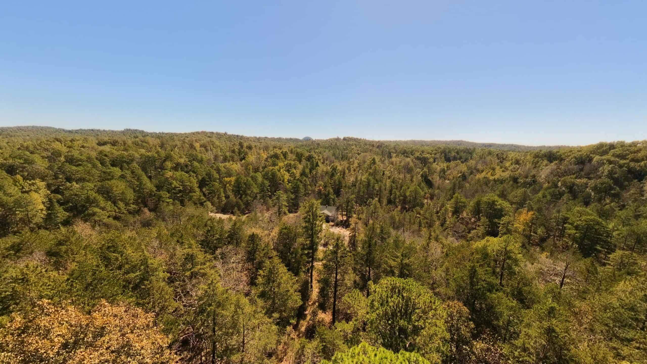 Private Hunting Retreat with Cabin on 39 Acres | Calico Rock, Arkansas