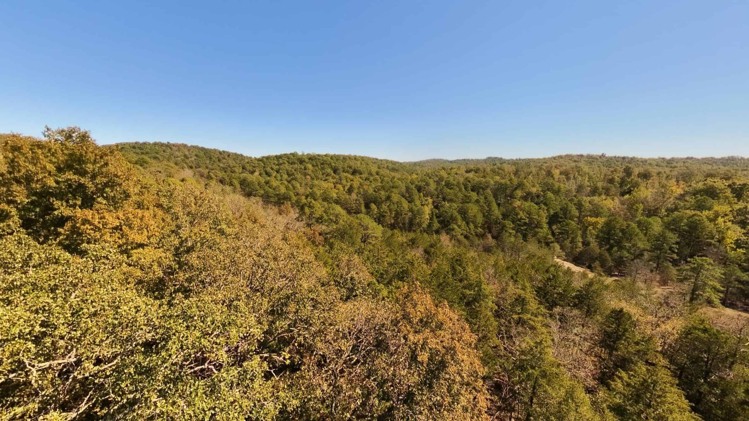 Private Hunting Retreat with Cabin on 39 Acres | Calico Rock, Arkansas