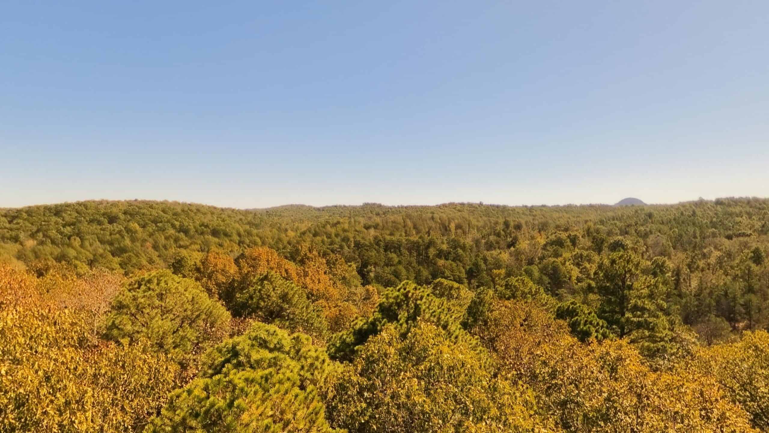 Private Hunting Retreat with Cabin on 39 Acres | Calico Rock, Arkansas
