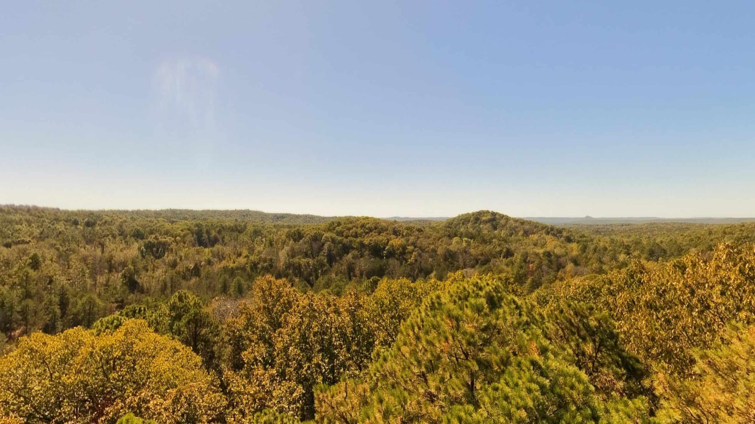 Private Hunting Retreat with Cabin on 39 Acres | Calico Rock, Arkansas
