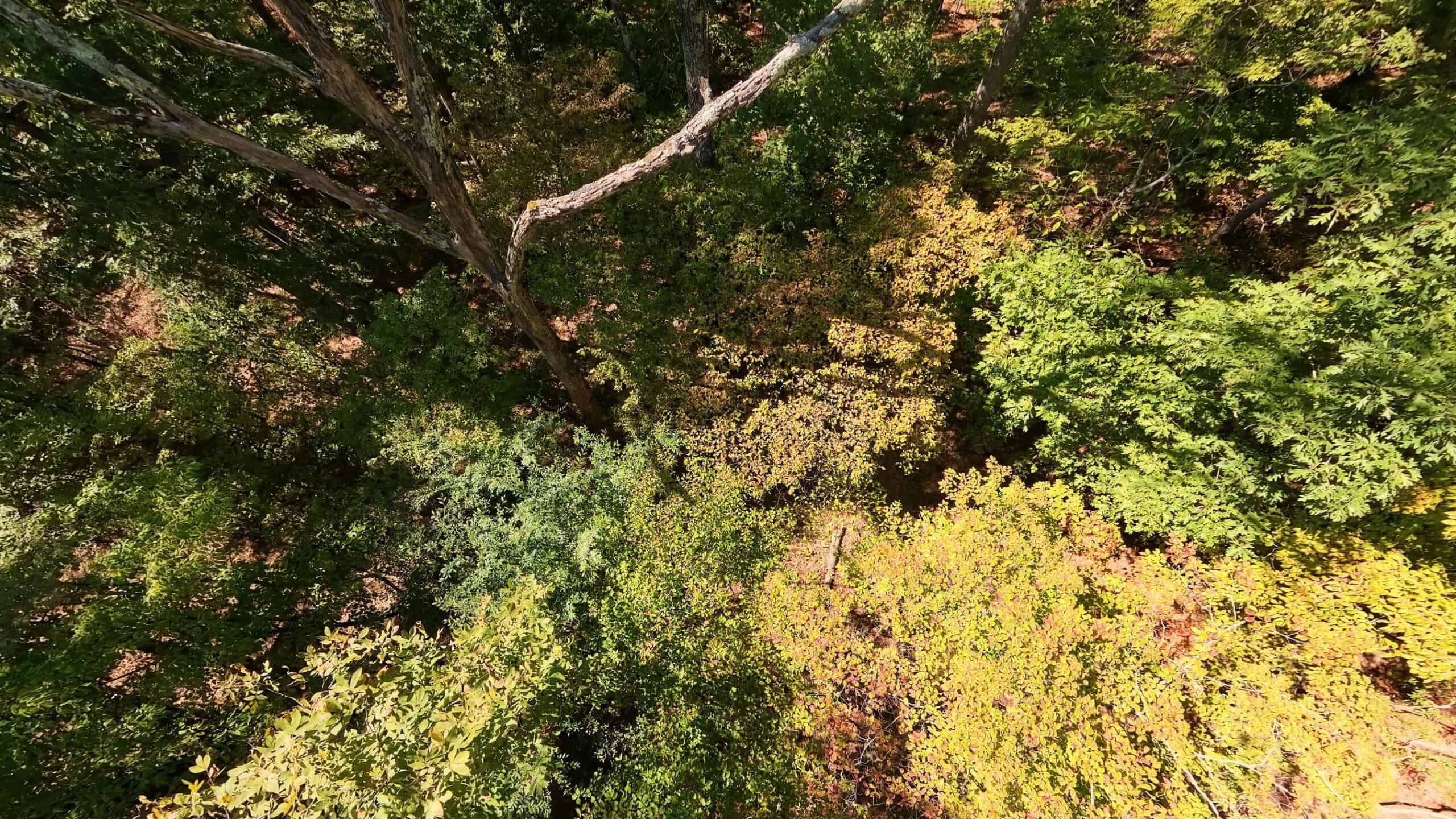 Private Hunting Retreat with Cabin on 39 Acres | Calico Rock, Arkansas