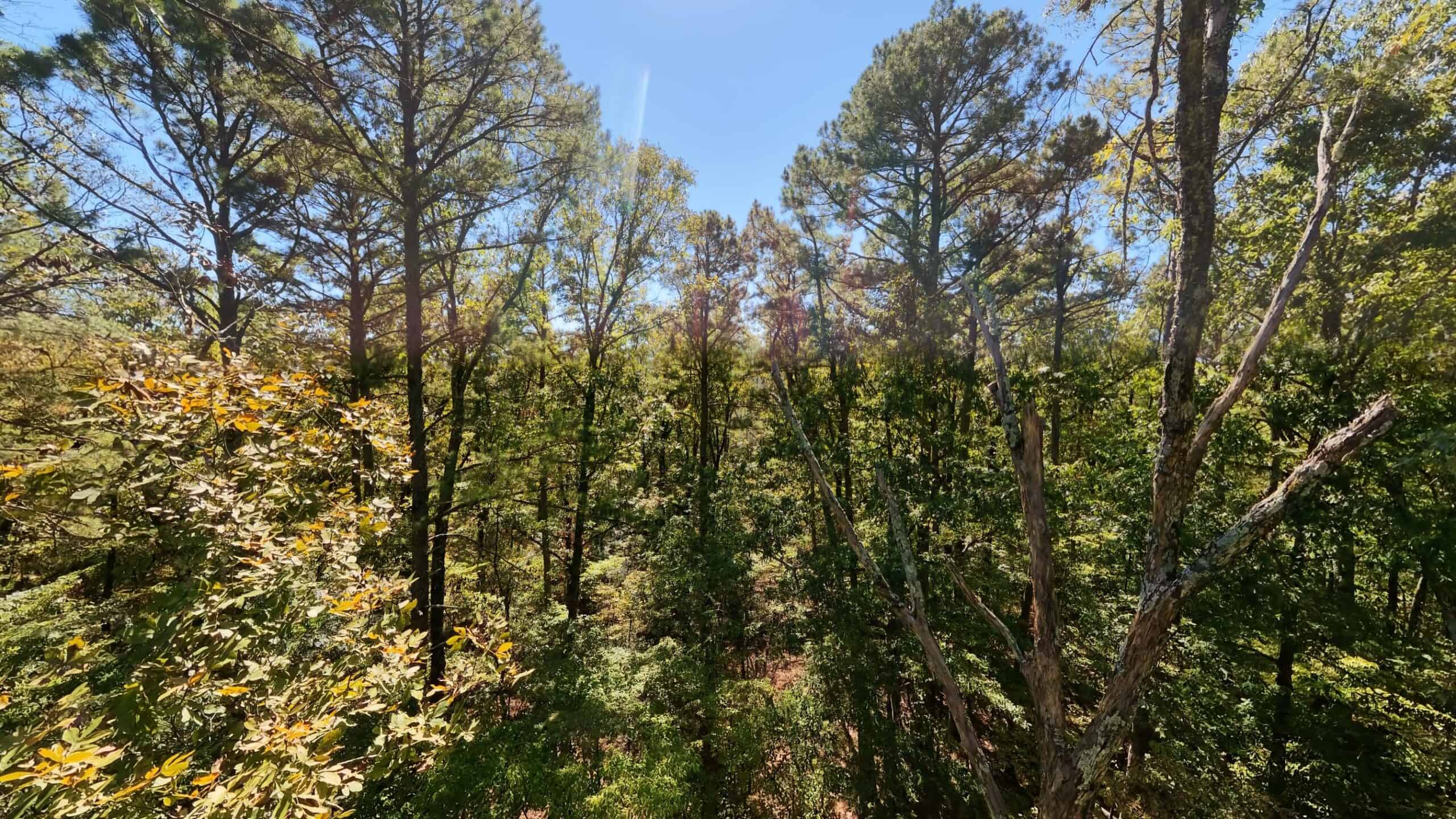 Private Hunting Retreat with Cabin on 39 Acres | Calico Rock, Arkansas