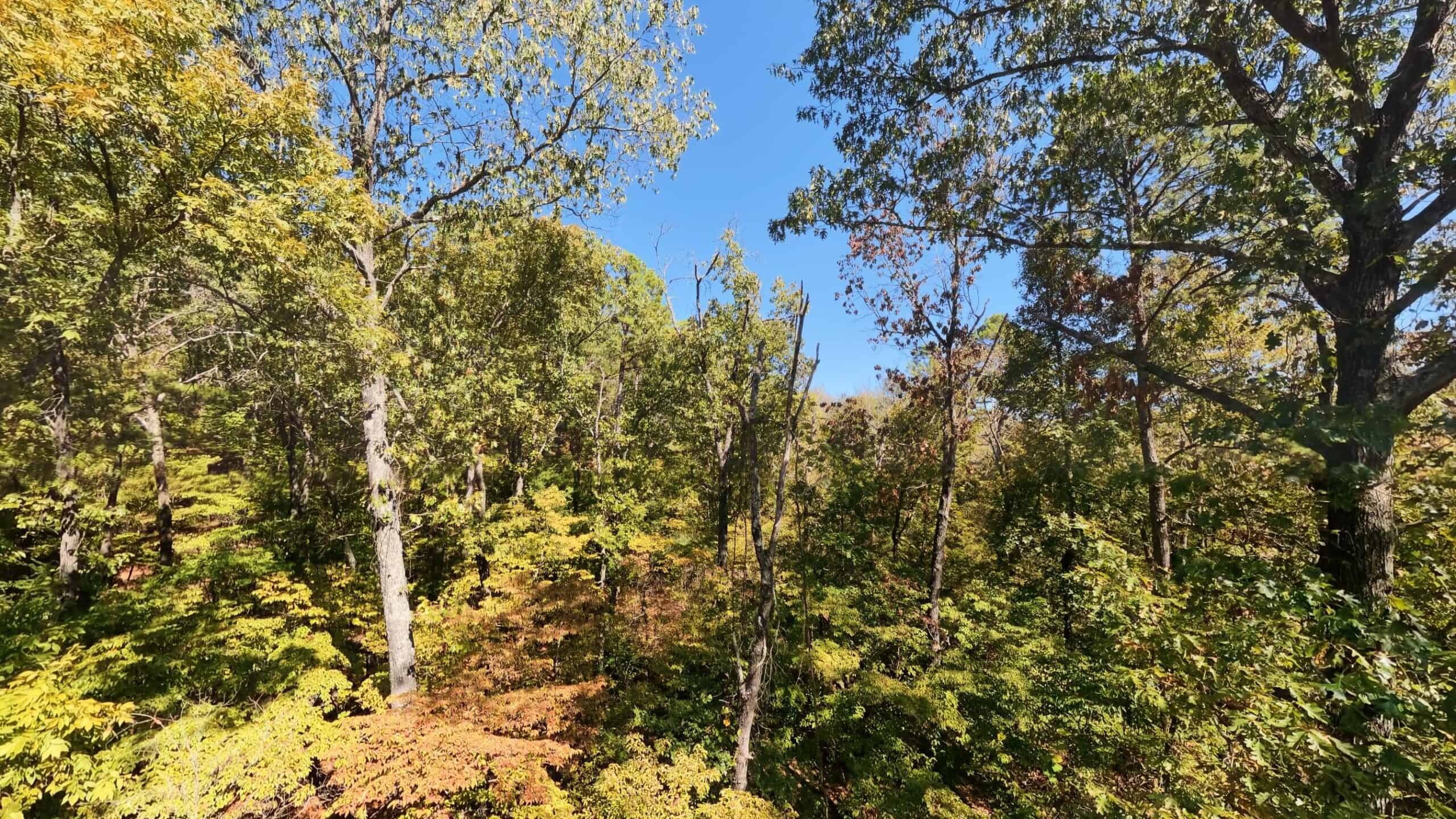Private Hunting Retreat with Cabin on 39 Acres | Calico Rock, Arkansas