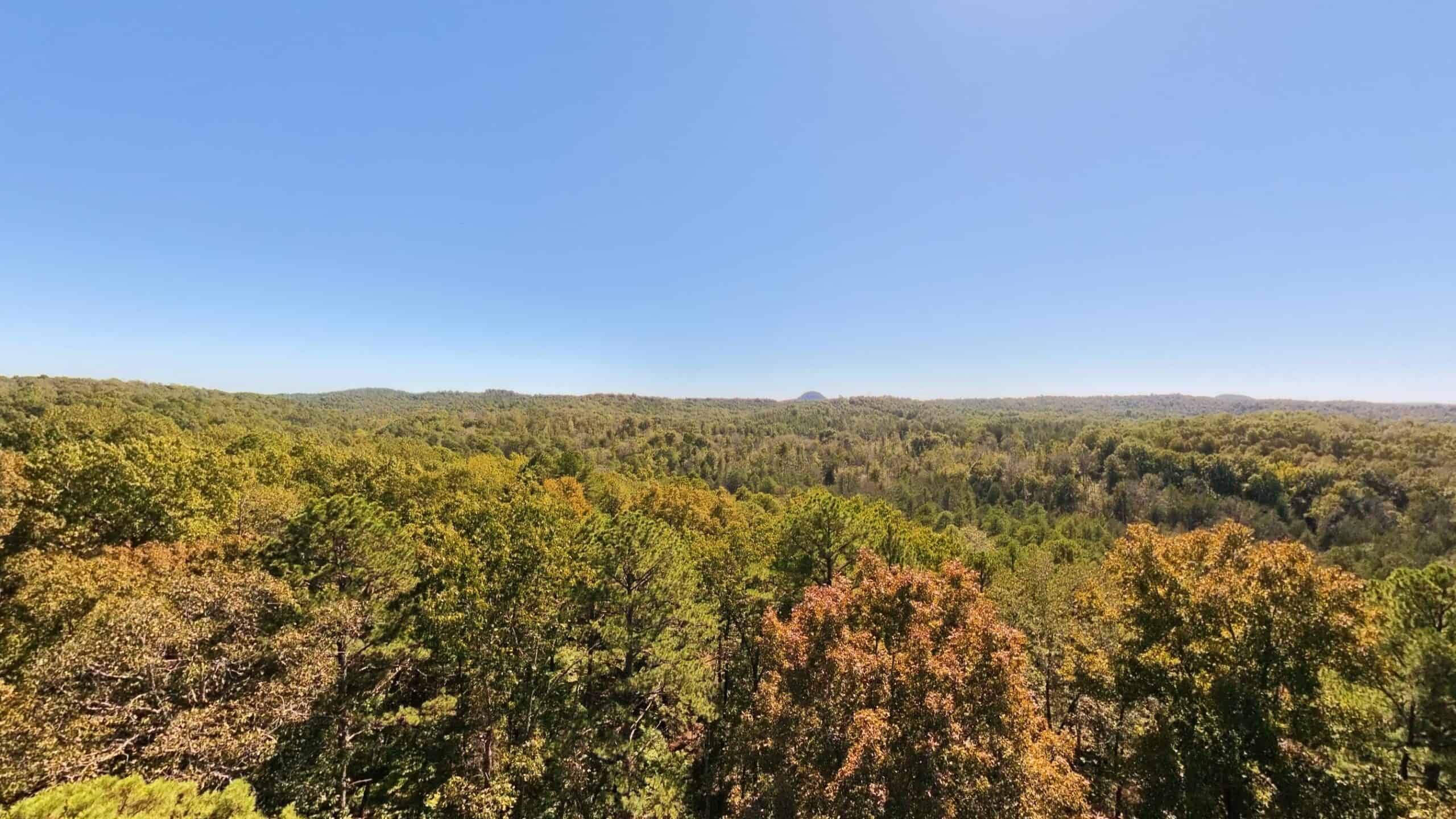 Private Hunting Retreat with Cabin on 39 Acres | Calico Rock, Arkansas
