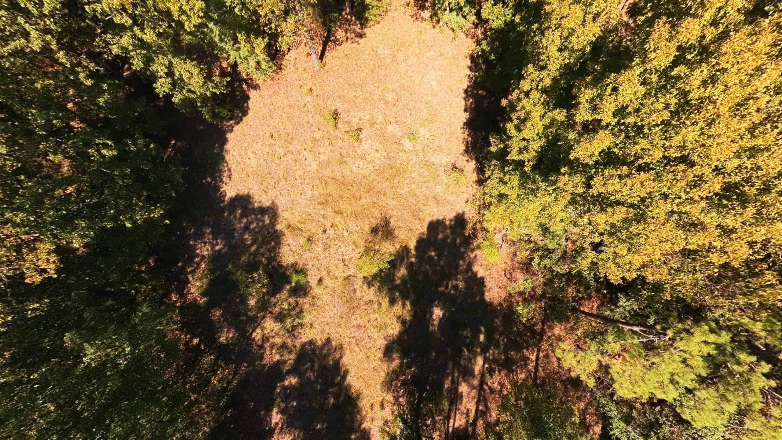 Private Hunting Retreat with Cabin on 39 Acres | Calico Rock, Arkansas