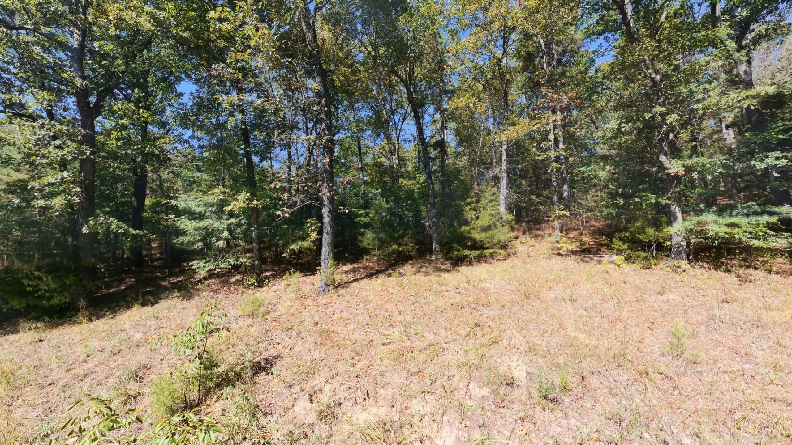 Private Hunting Retreat with Cabin on 39 Acres | Calico Rock, Arkansas