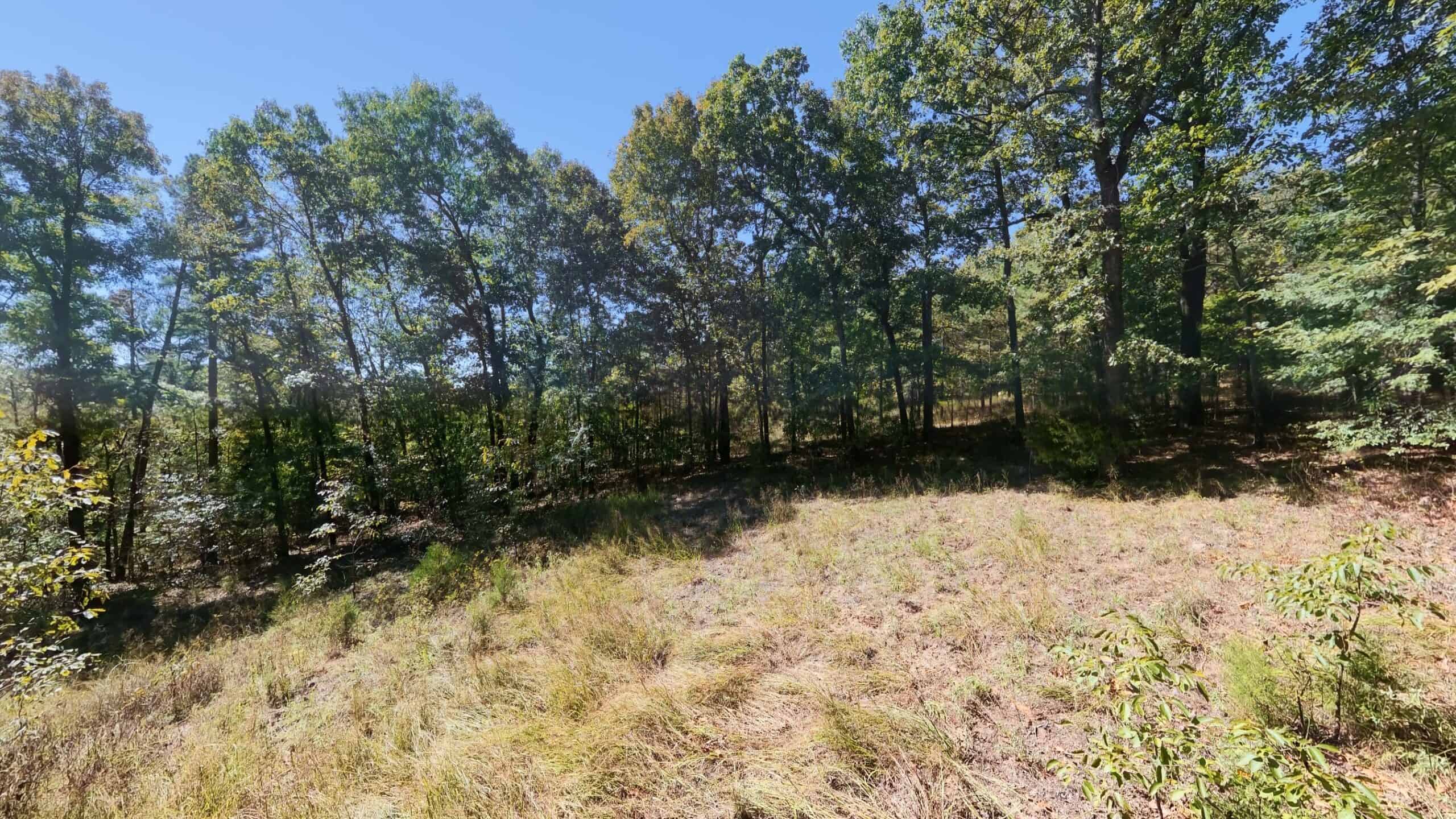 Private Hunting Retreat with Cabin on 39 Acres | Calico Rock, Arkansas
