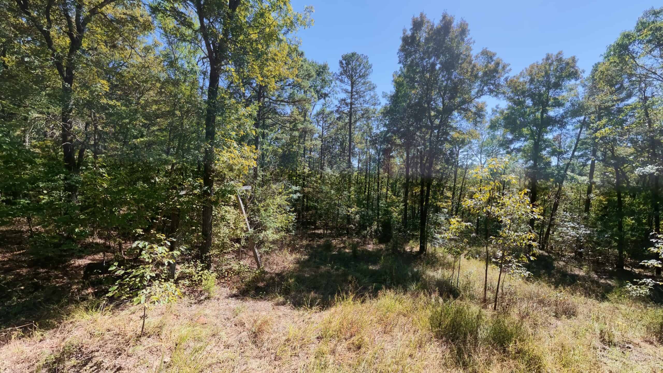 Private Hunting Retreat with Cabin on 39 Acres | Calico Rock, Arkansas