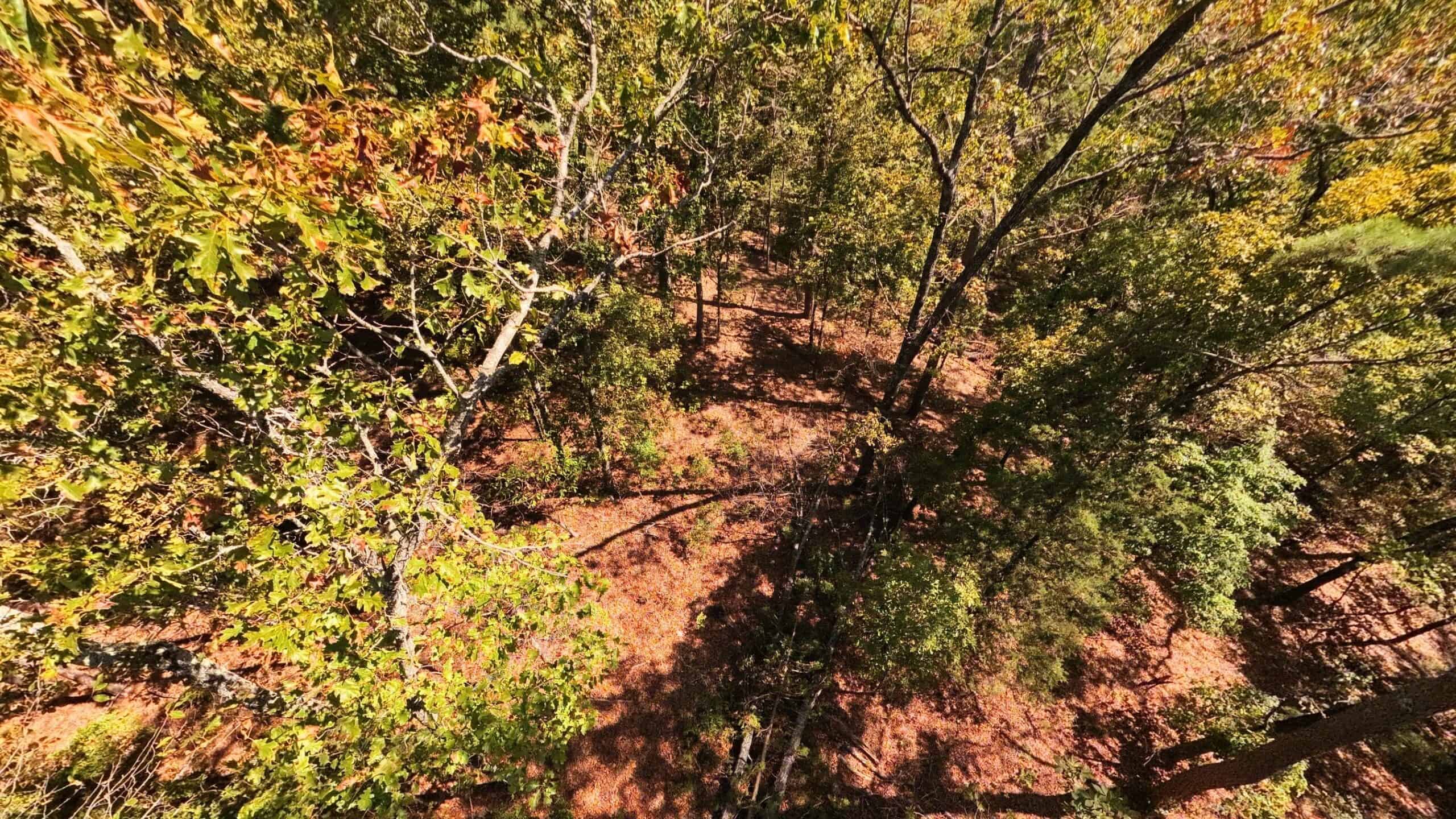 Private Hunting Retreat with Cabin on 39 Acres | Calico Rock, Arkansas