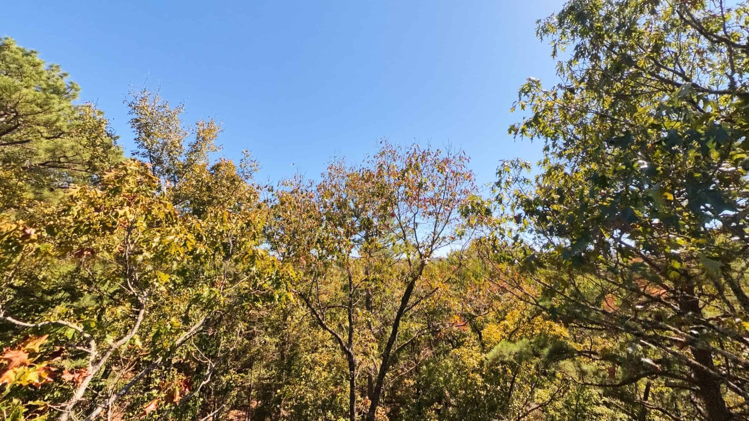 Private Hunting Retreat with Cabin on 39 Acres | Calico Rock, Arkansas