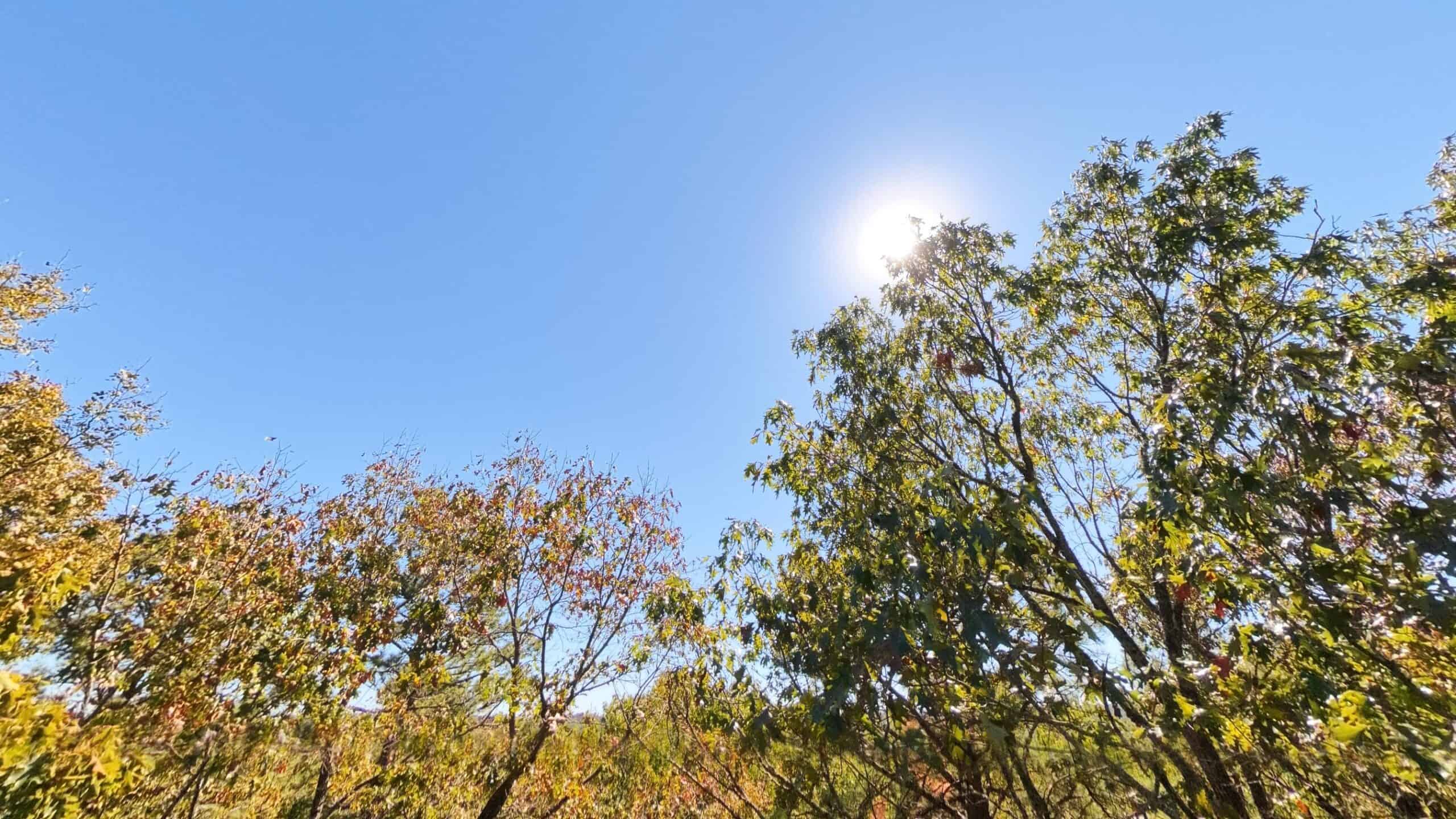 Private Hunting Retreat with Cabin on 39 Acres | Calico Rock, Arkansas