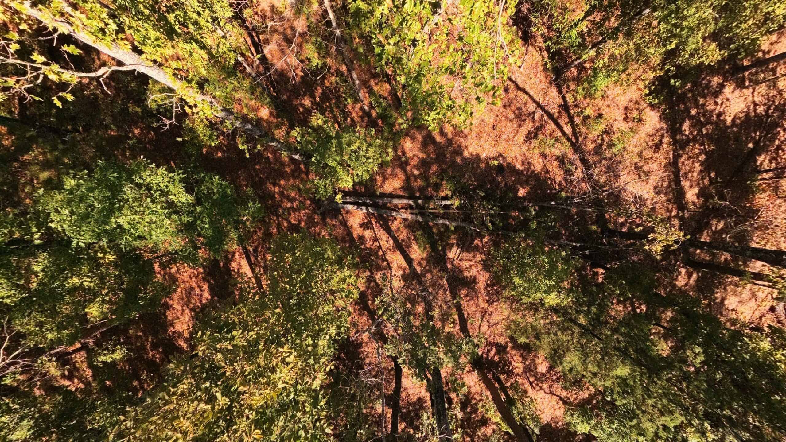 Private Hunting Retreat with Cabin on 39 Acres | Calico Rock, Arkansas