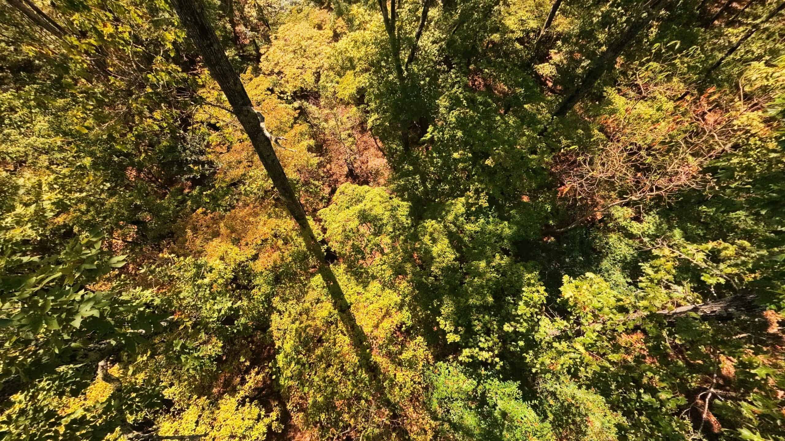 Private Hunting Retreat with Cabin on 39 Acres | Calico Rock, Arkansas