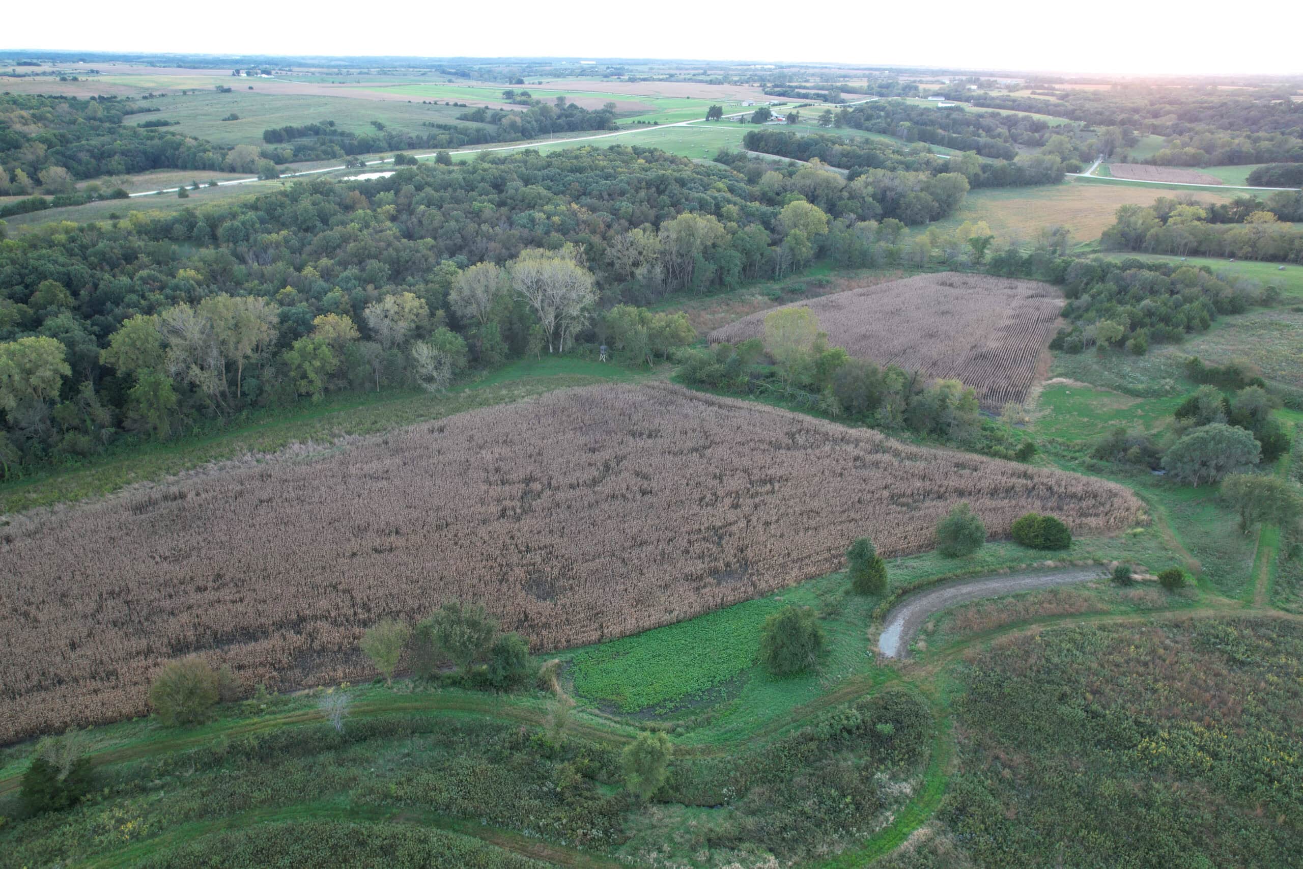 Southern Iowa Combination Hunting Tract