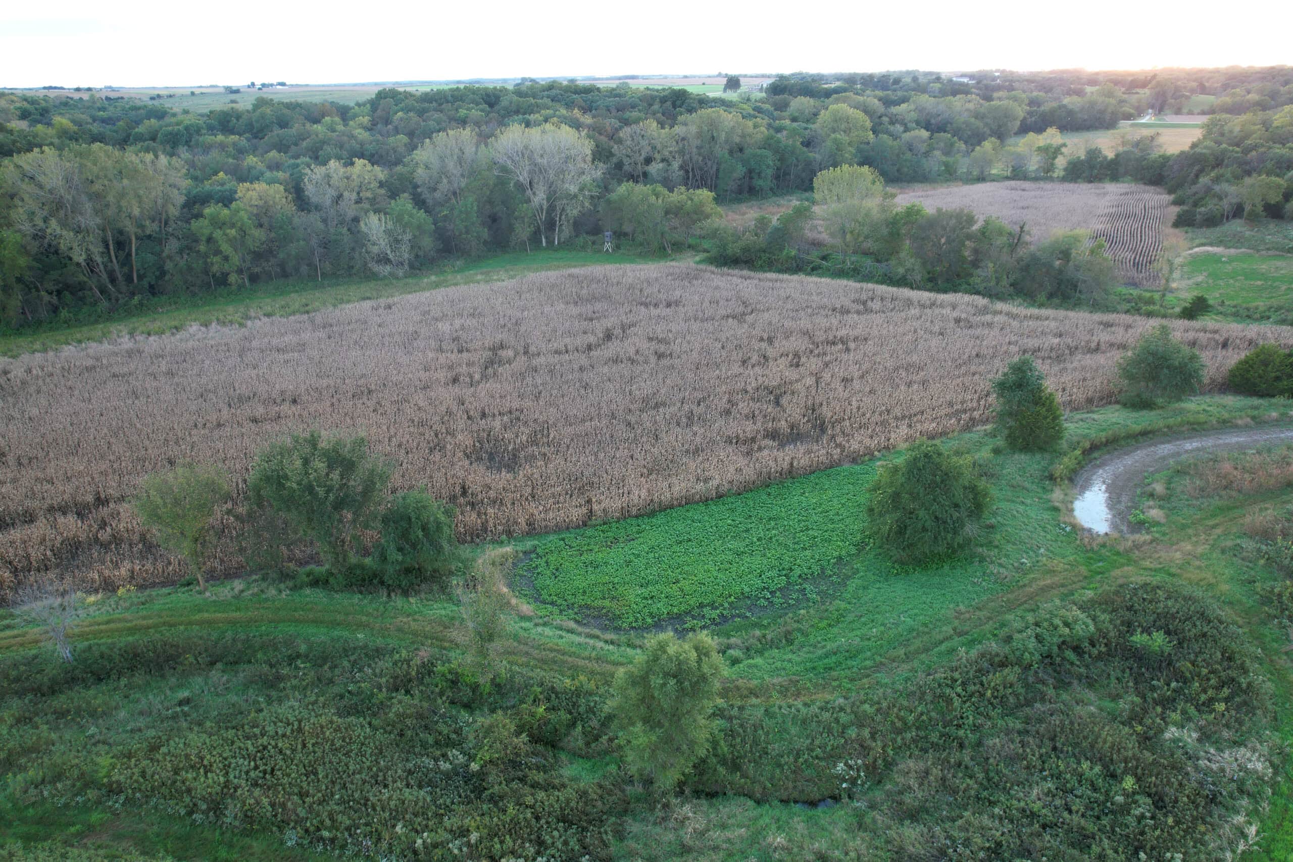Southern Iowa Combination Hunting Tract