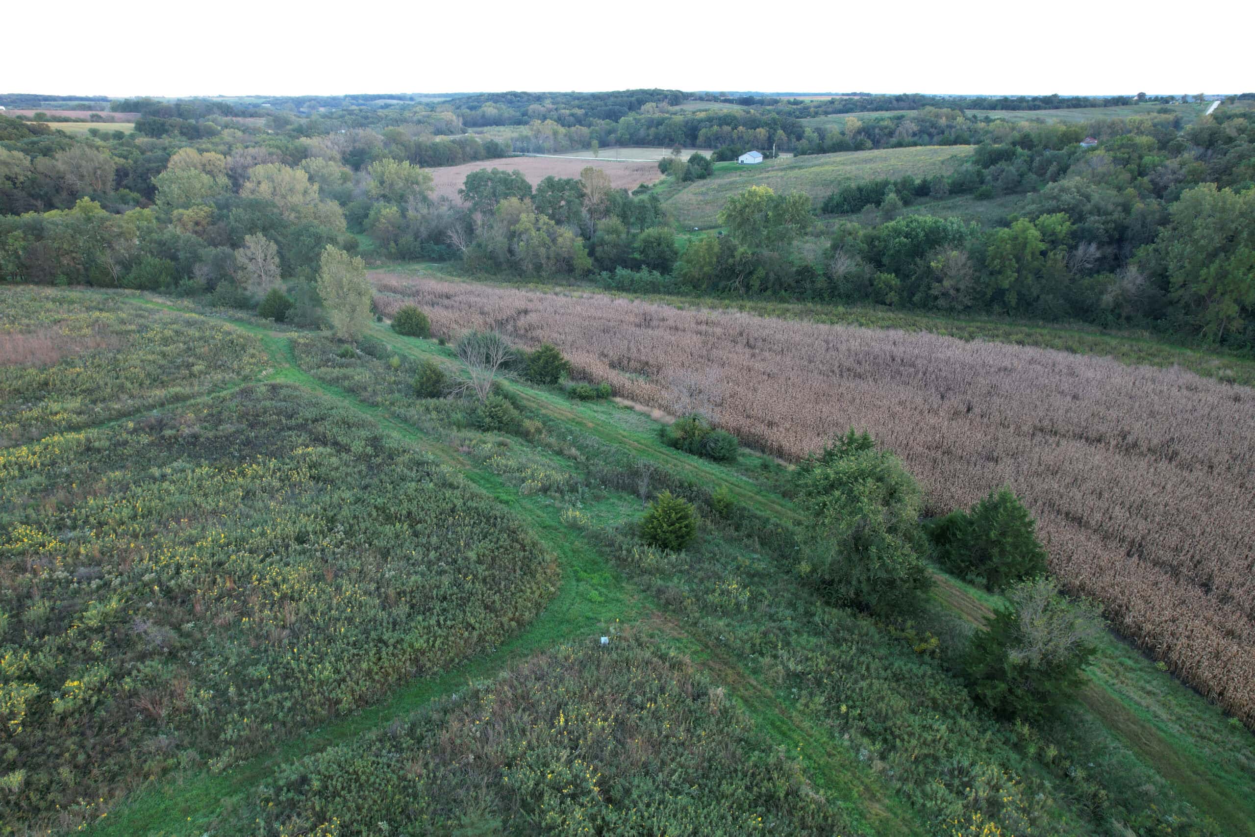 Southern Iowa Combination Hunting Tract