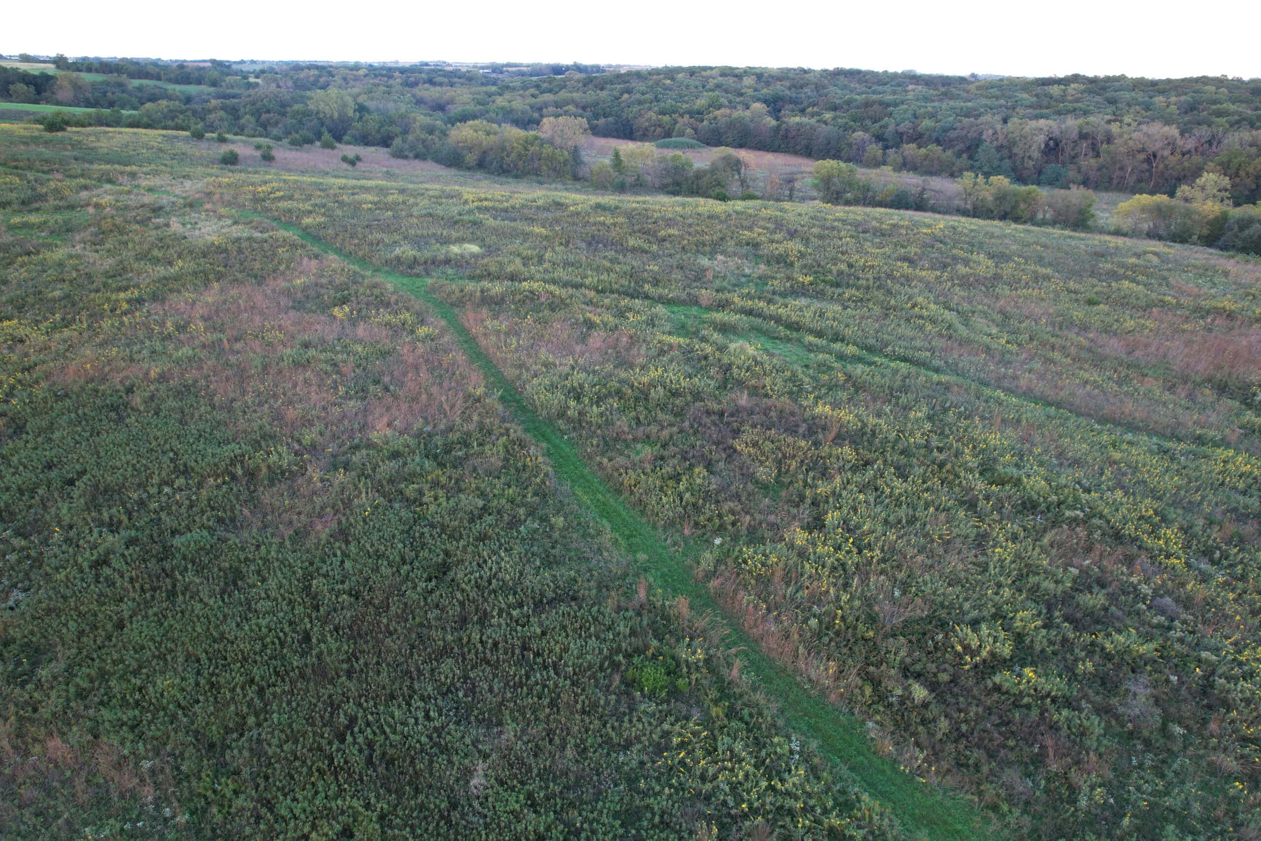 Southern Iowa Combination Hunting Tract