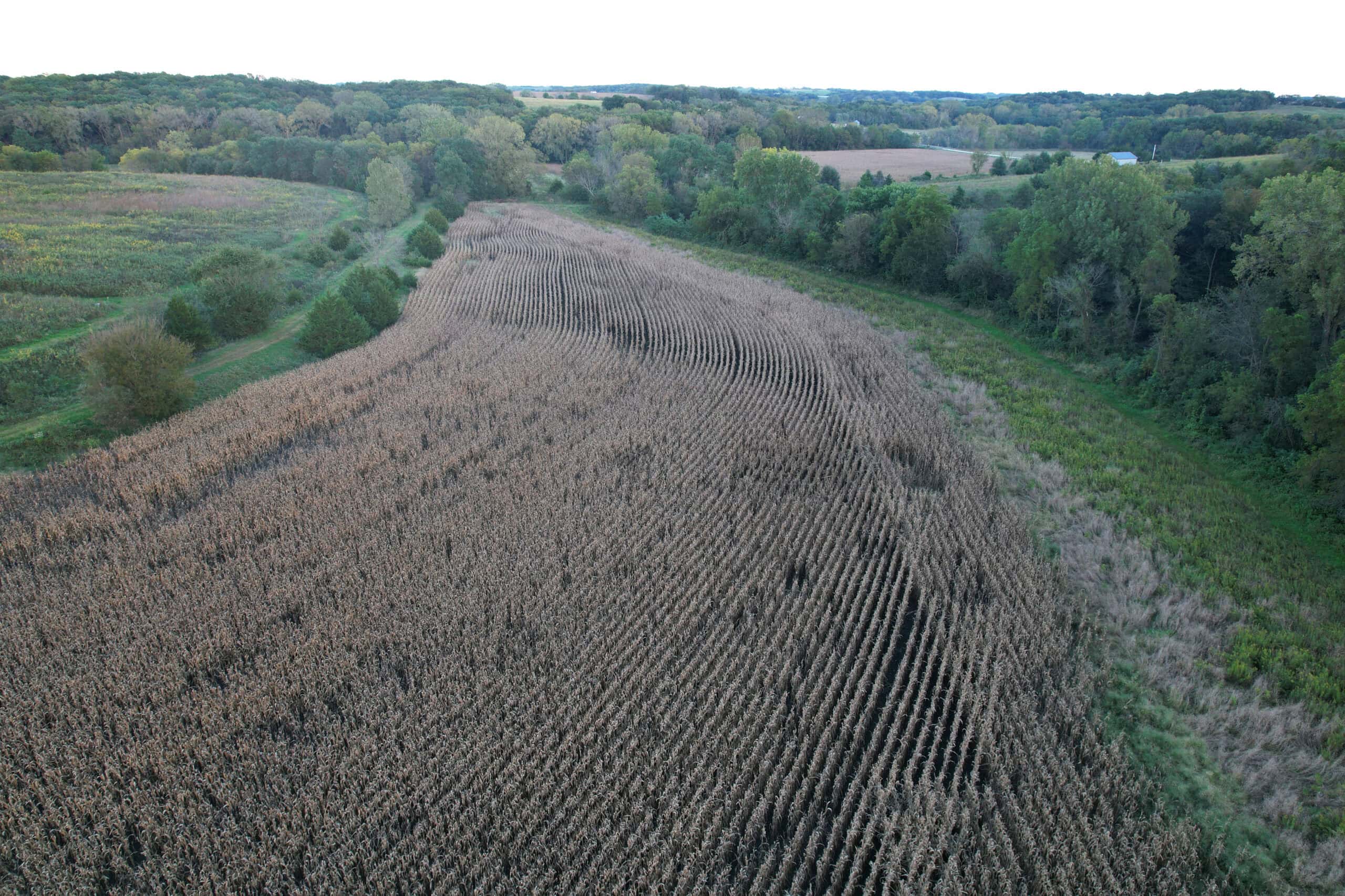 Southern Iowa Combination Hunting Tract