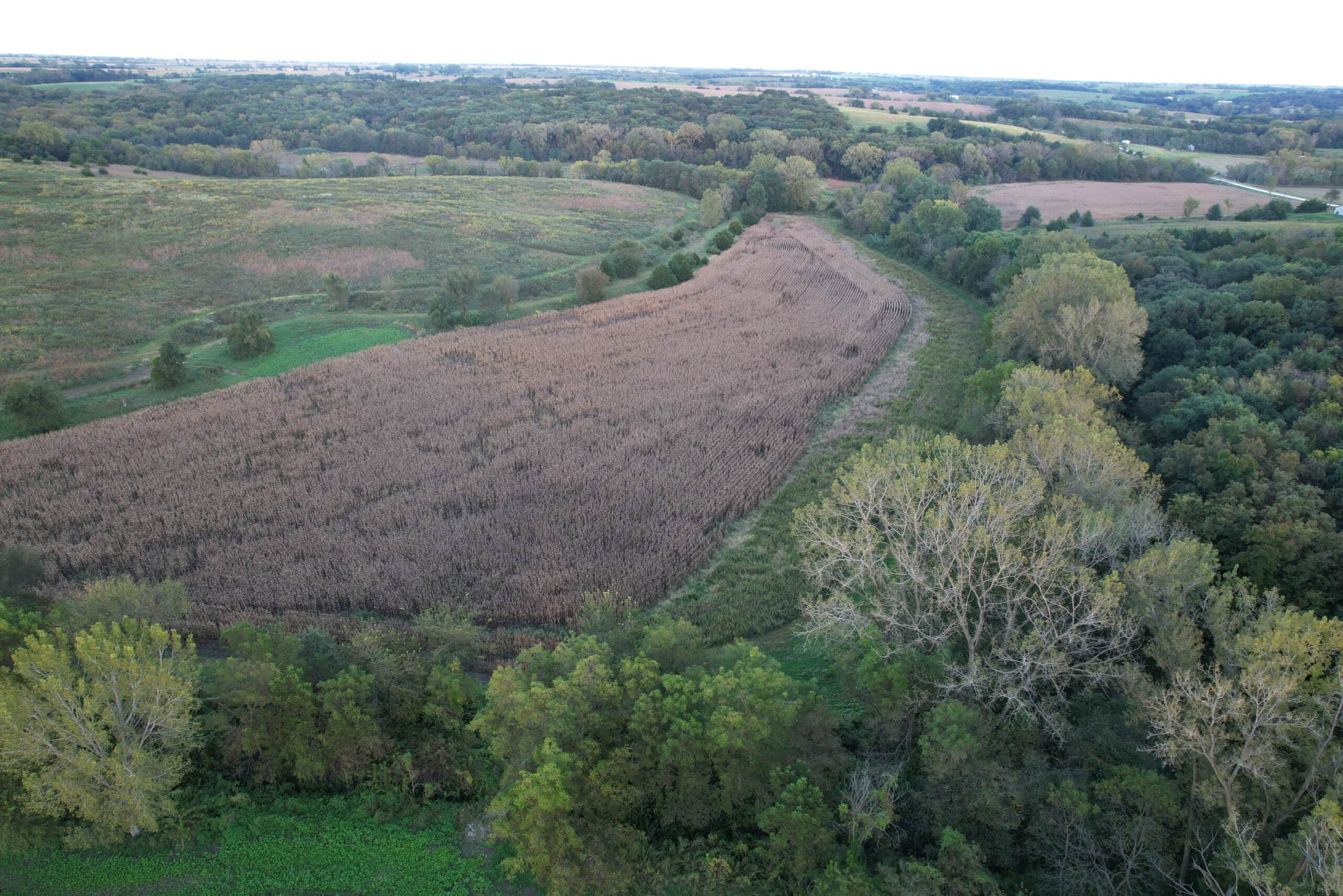 Southern Iowa Combination Hunting Tract