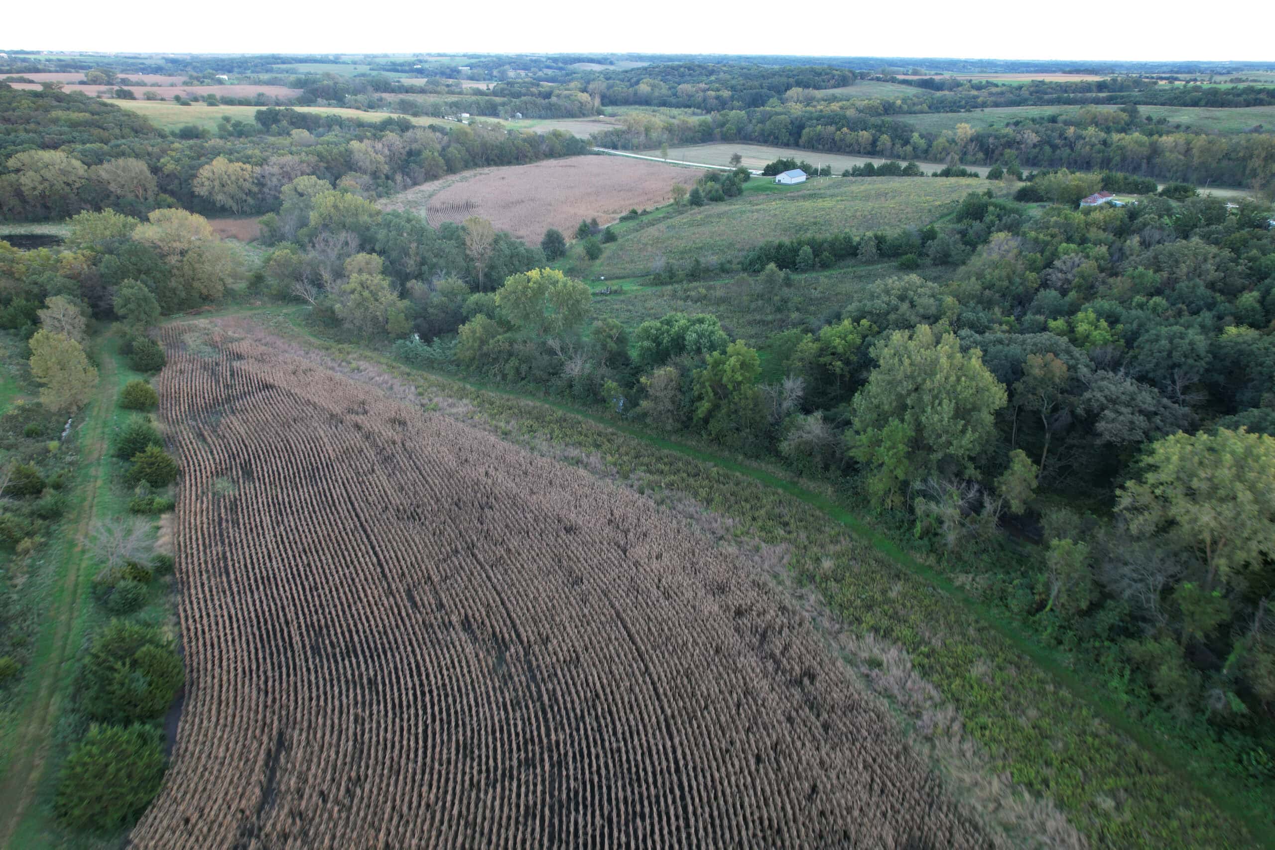 Southern Iowa Combination Hunting Tract