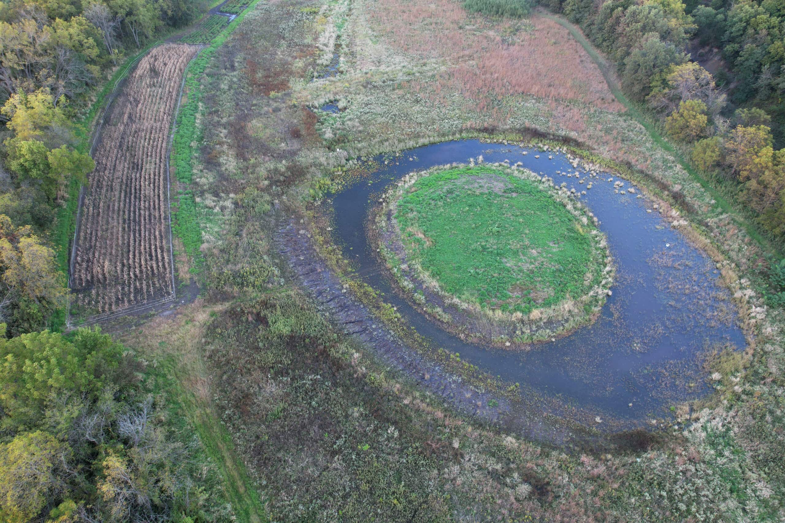 Southern Iowa Combination Hunting Tract