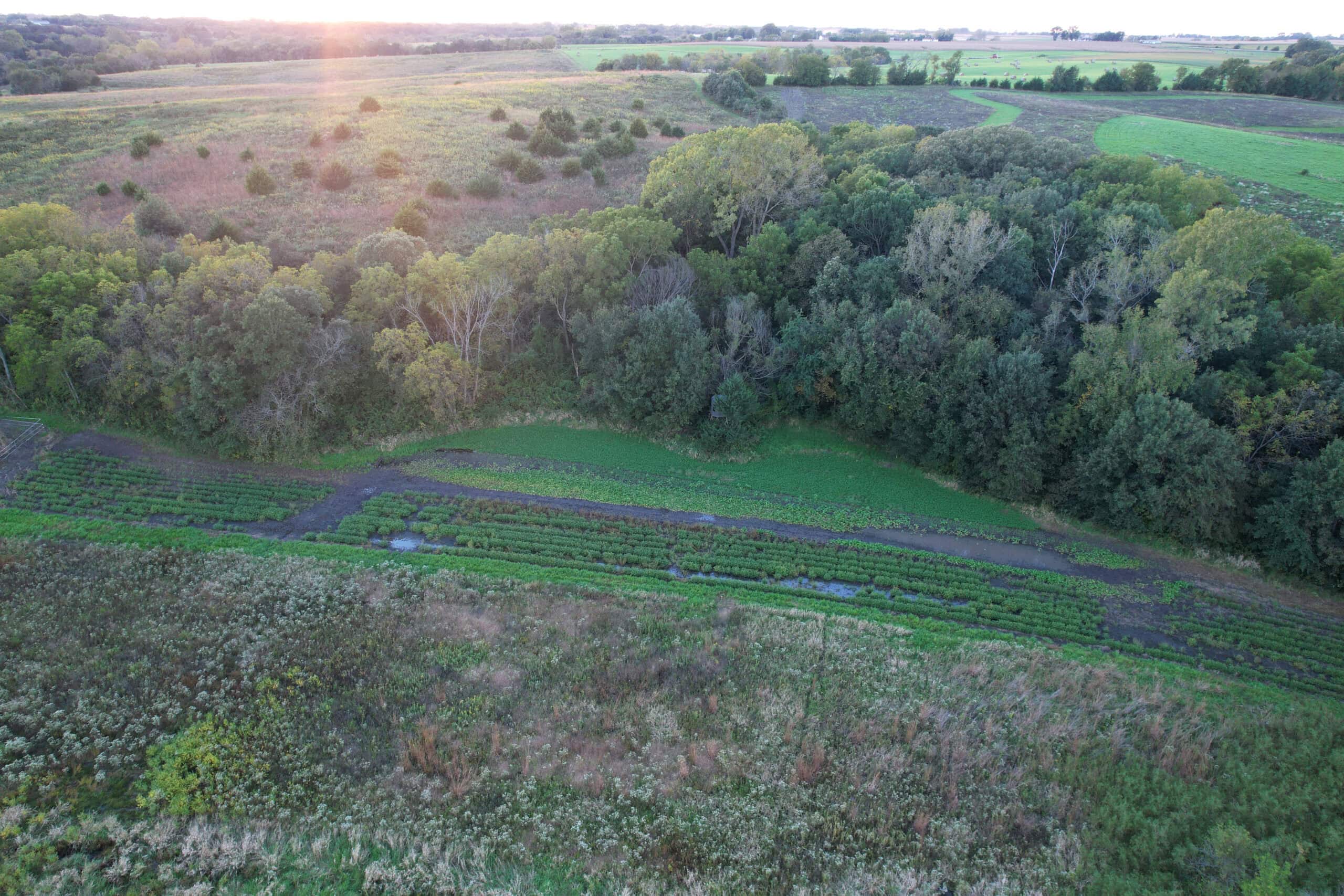 Southern Iowa Combination Hunting Tract