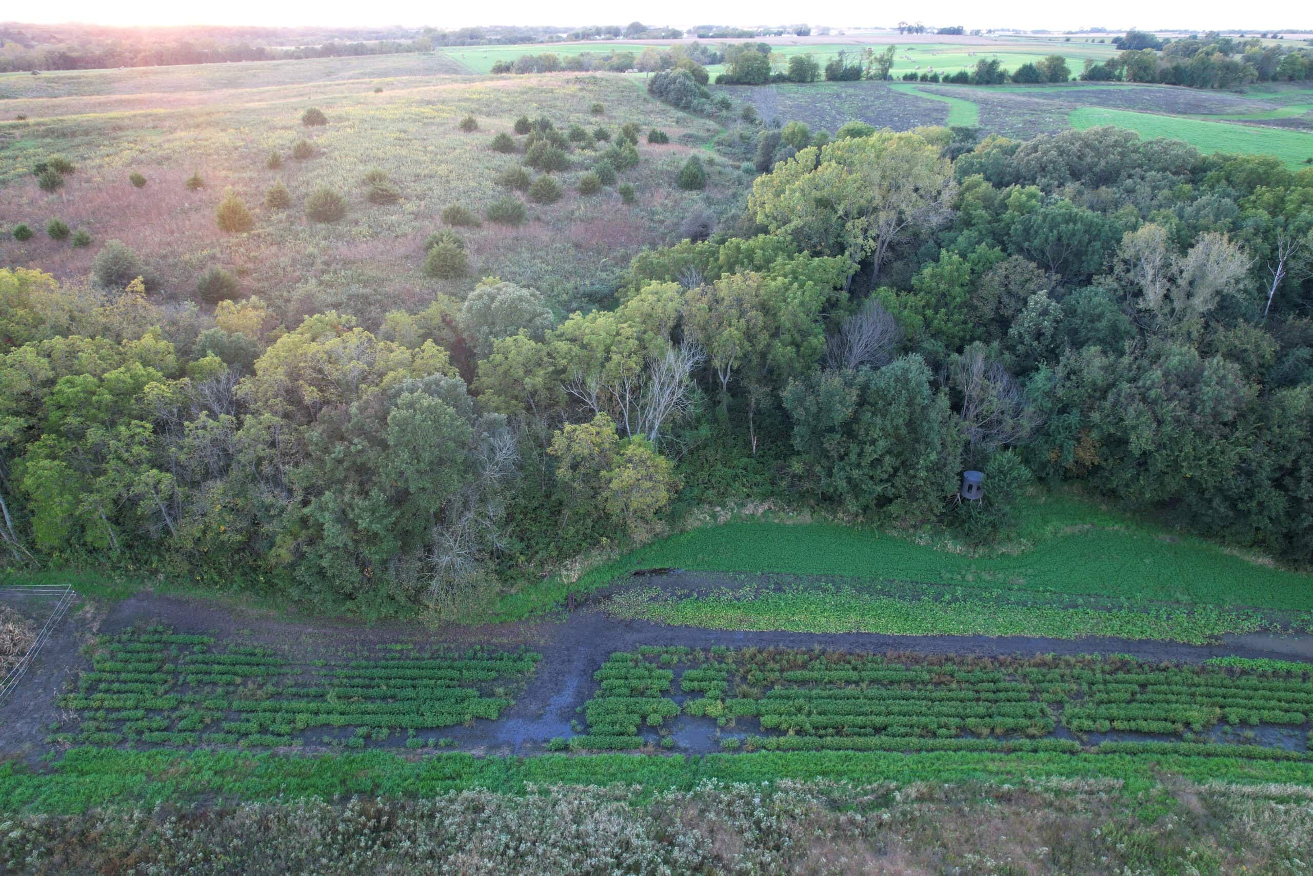 Southern Iowa Combination Hunting Tract