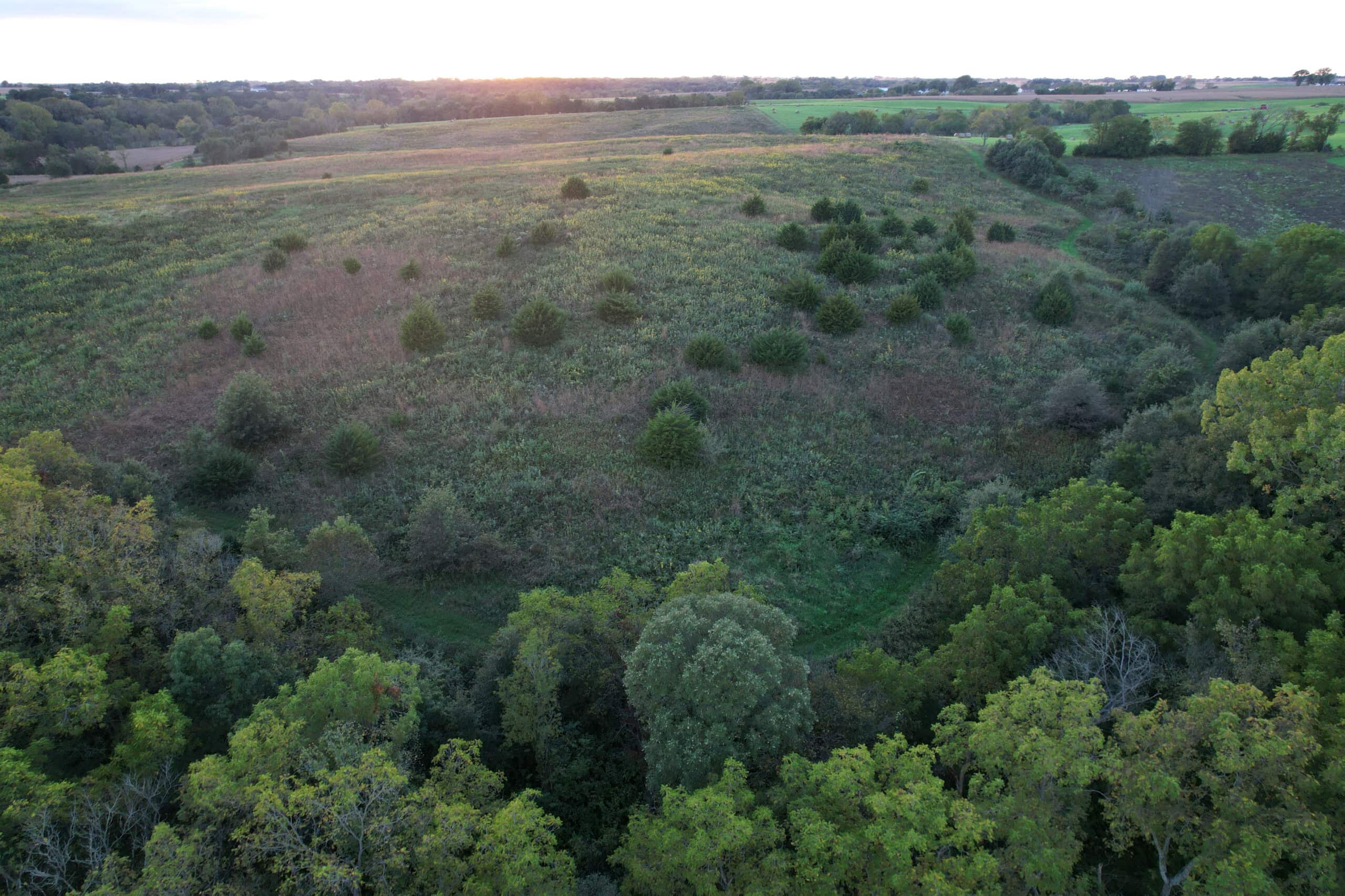 Southern Iowa Combination Hunting Tract