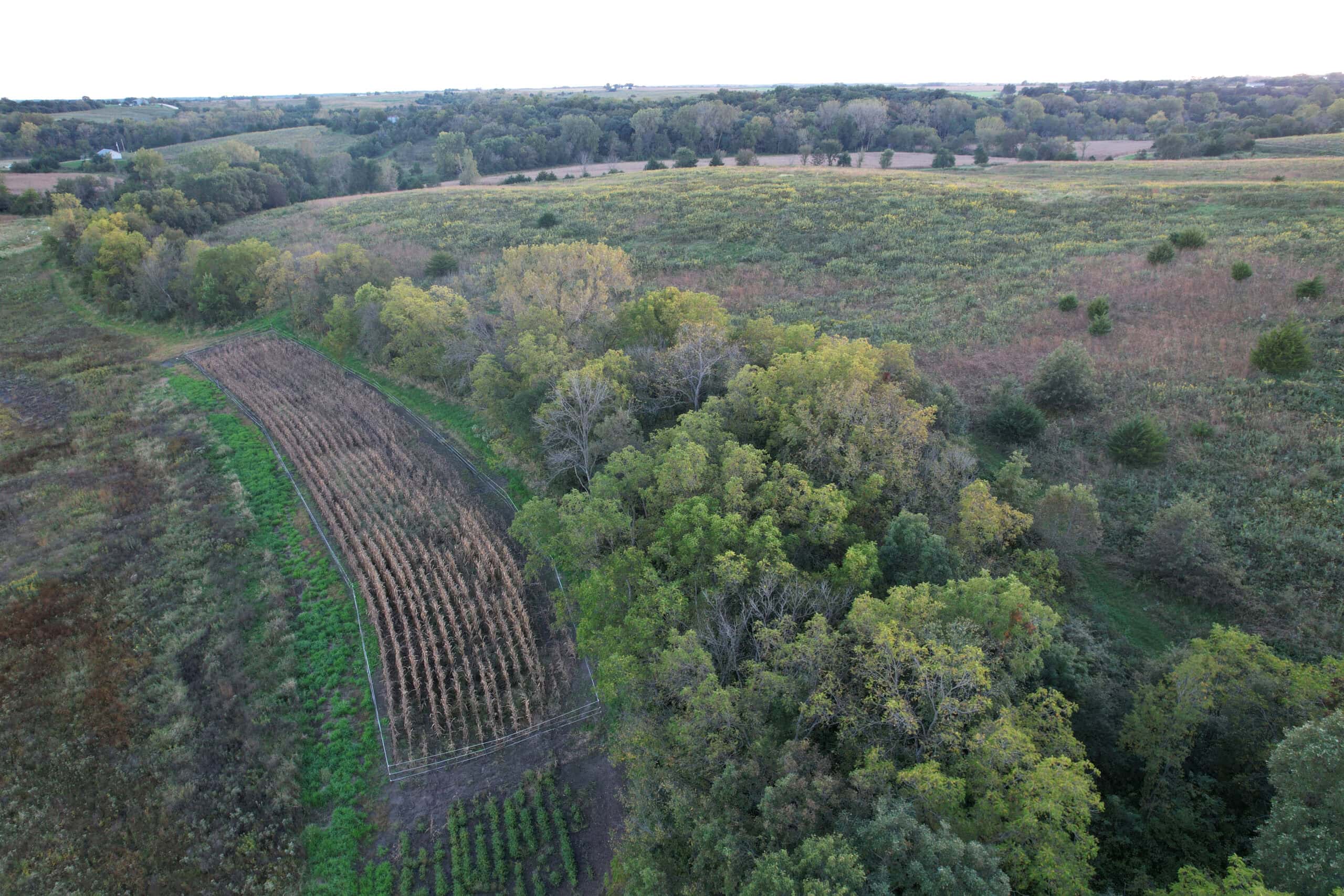 Southern Iowa Combination Hunting Tract