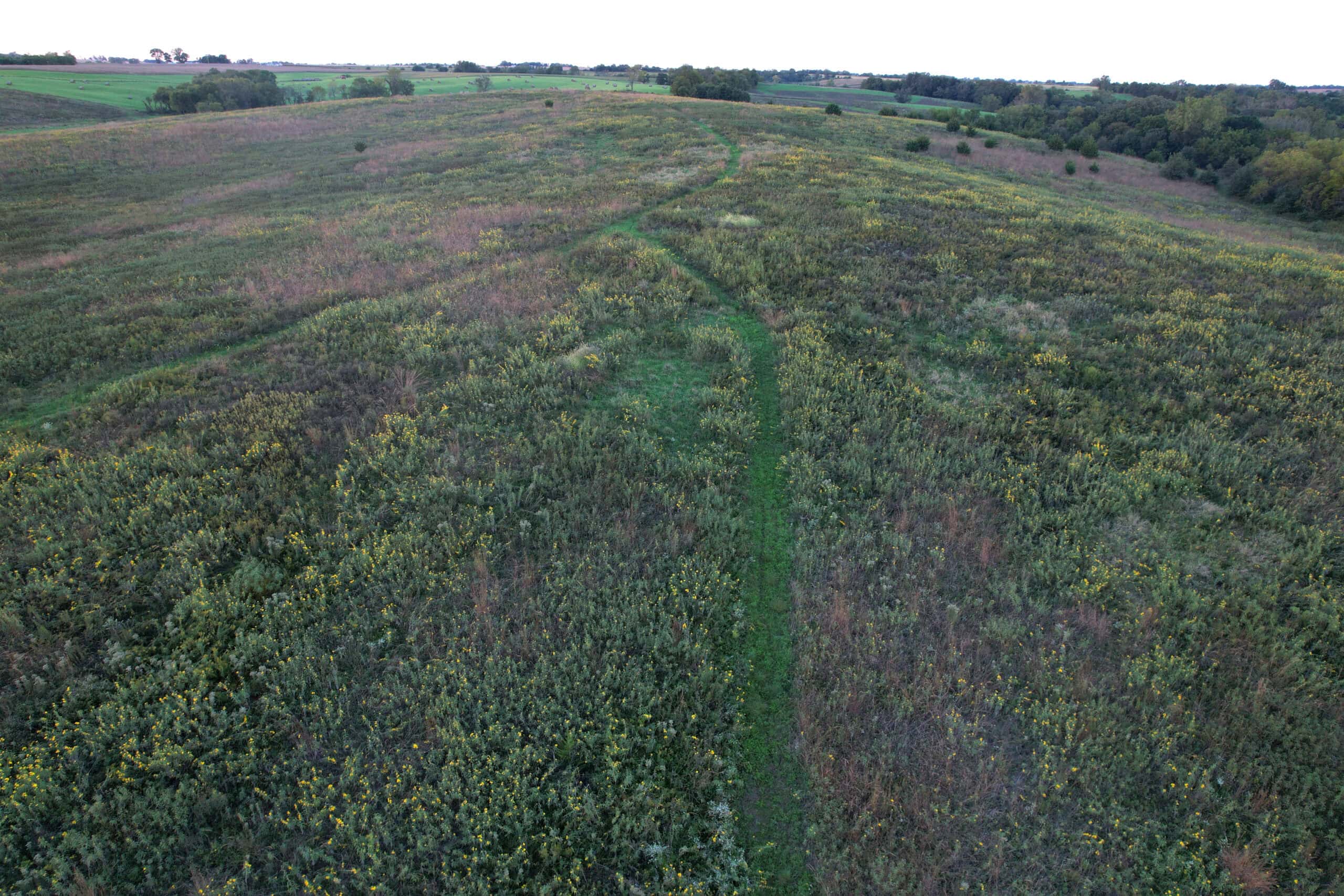 Southern Iowa Combination Hunting Tract