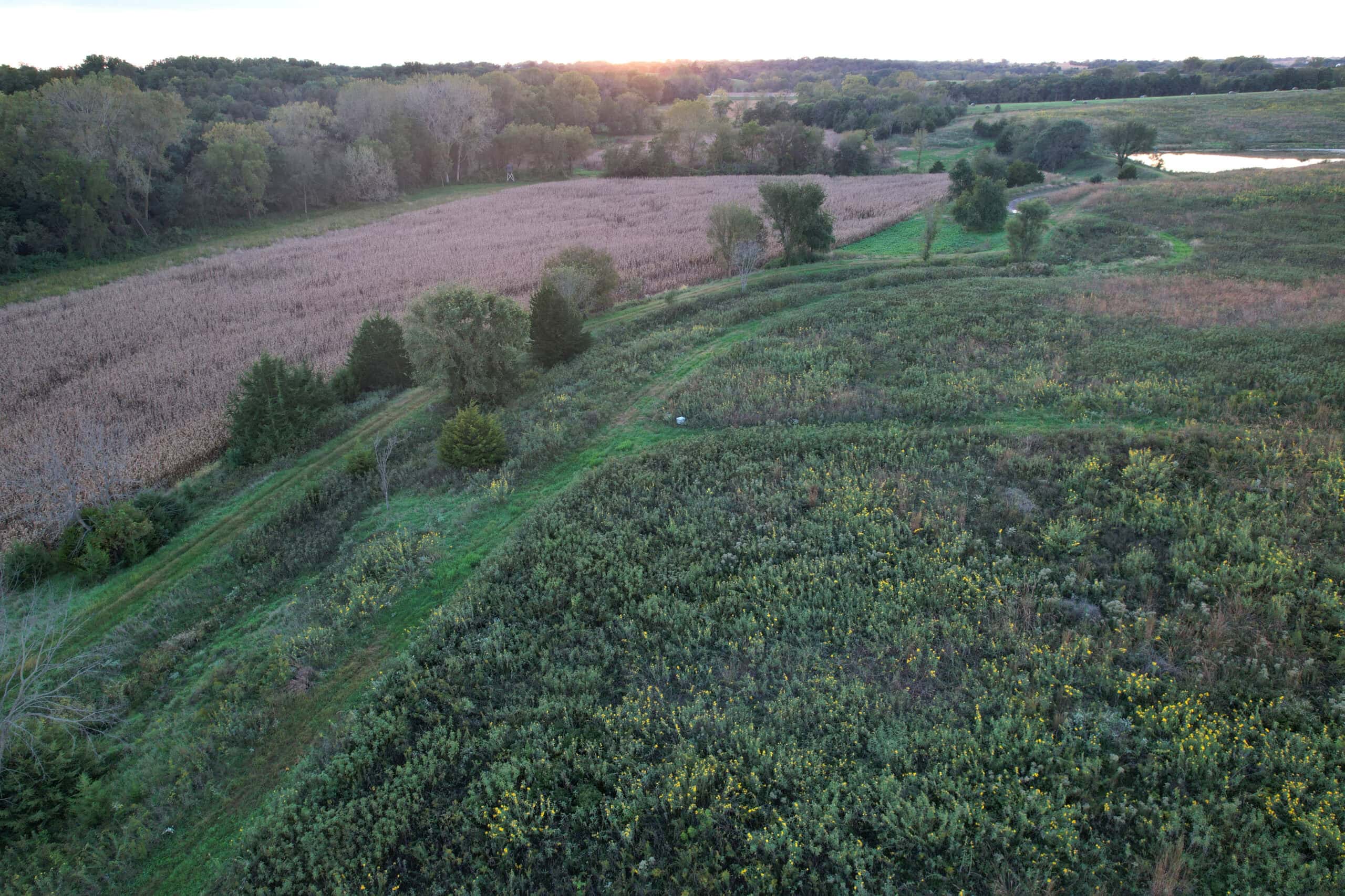 Southern Iowa Combination Hunting Tract