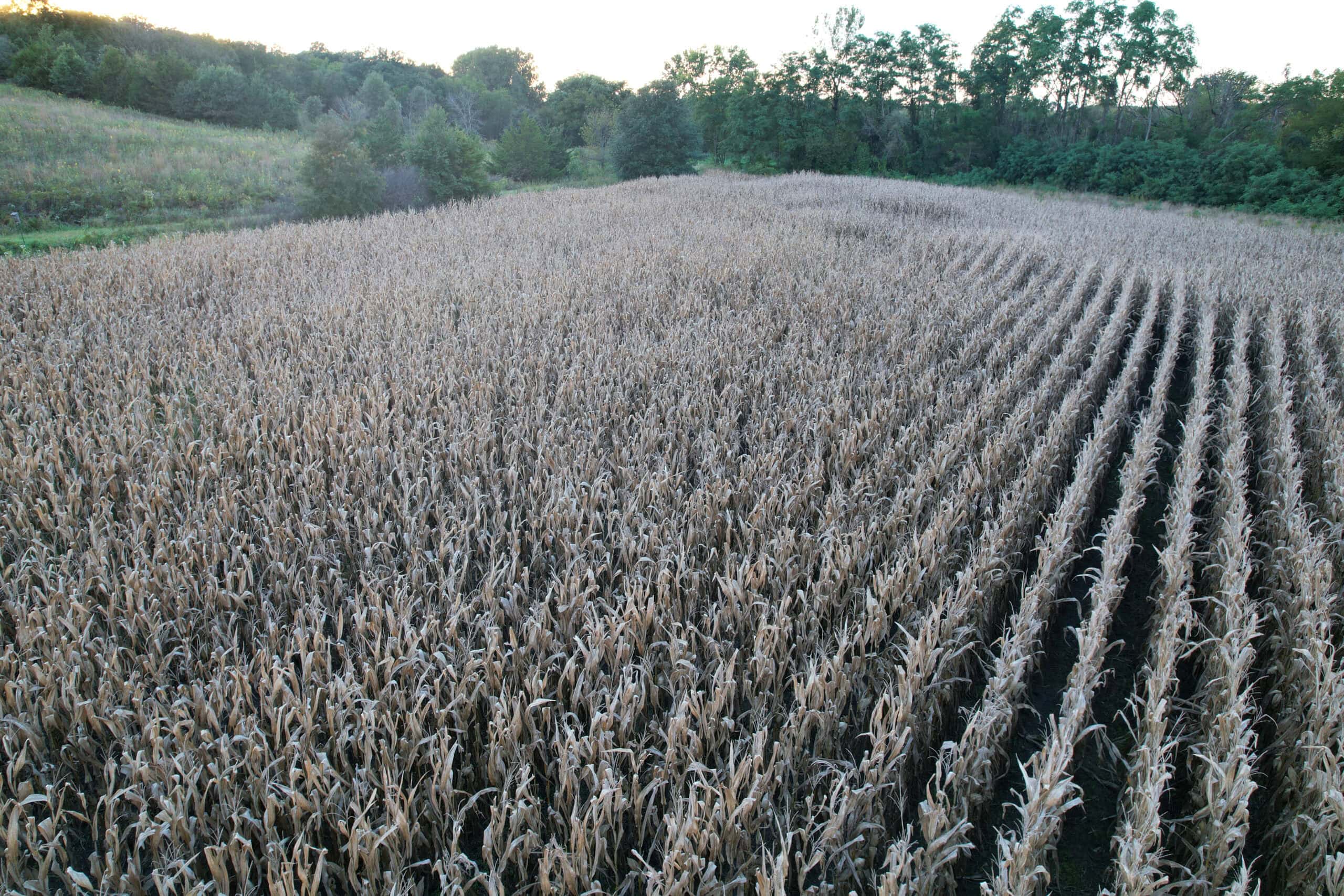 Southern Iowa Combination Hunting Tract
