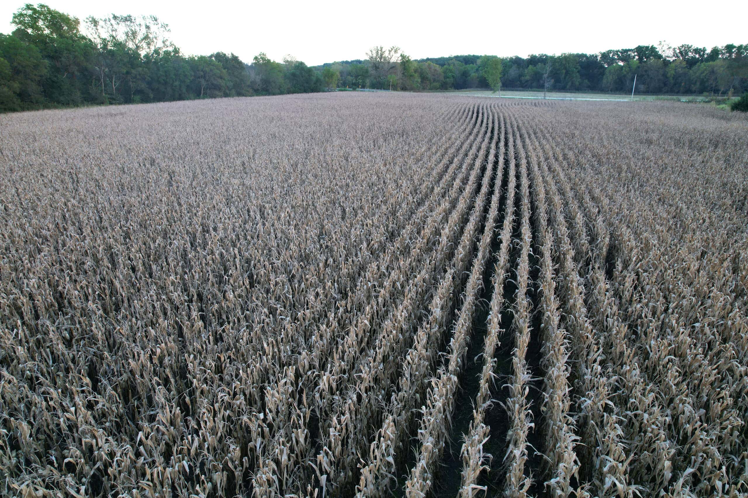 Southern Iowa Combination Hunting Tract