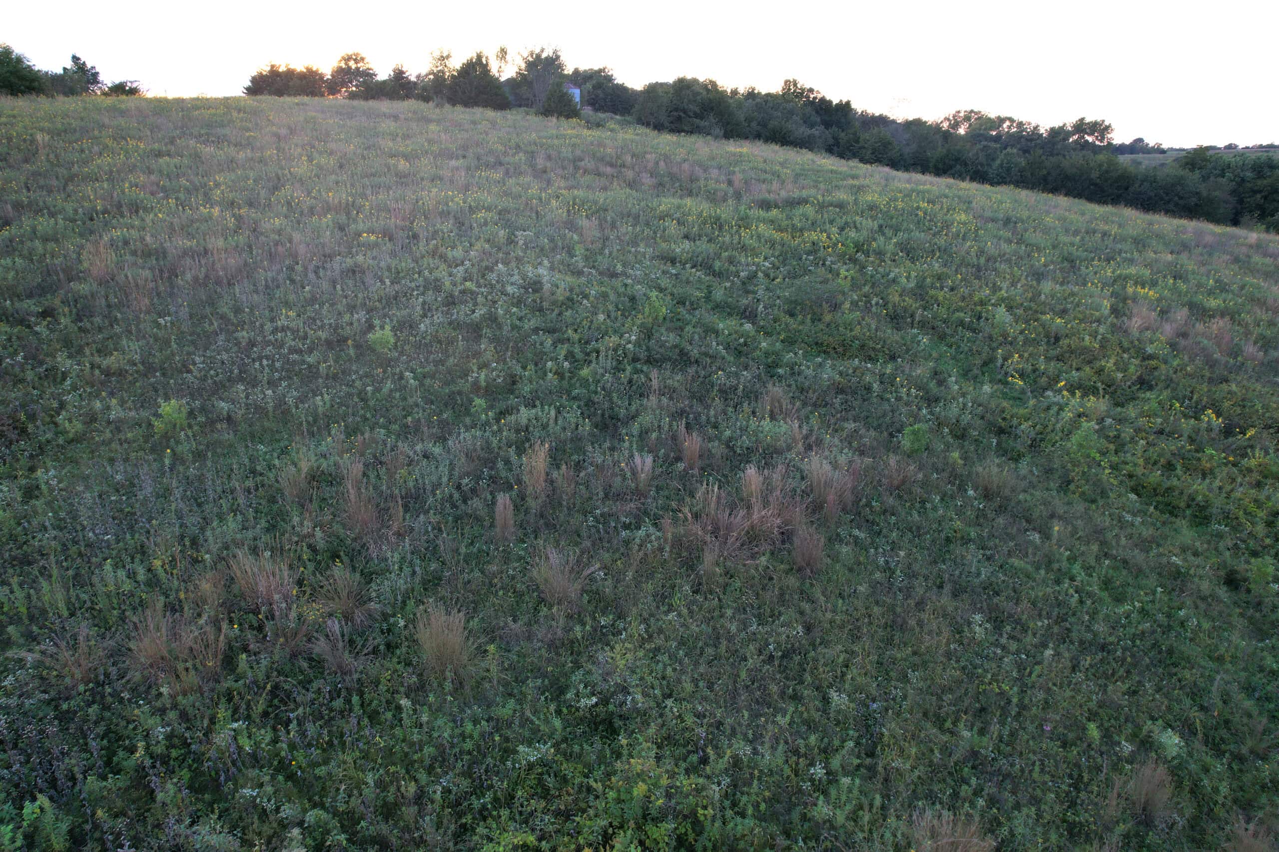 Southern Iowa Combination Hunting Tract